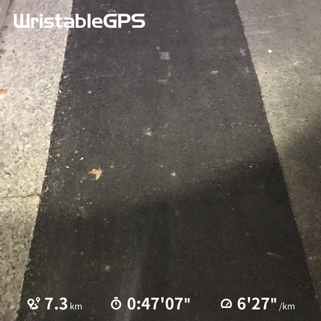 f:id:hatakofuru:20191124105823j:image f:id:hatakofuru:20191124105823j:image