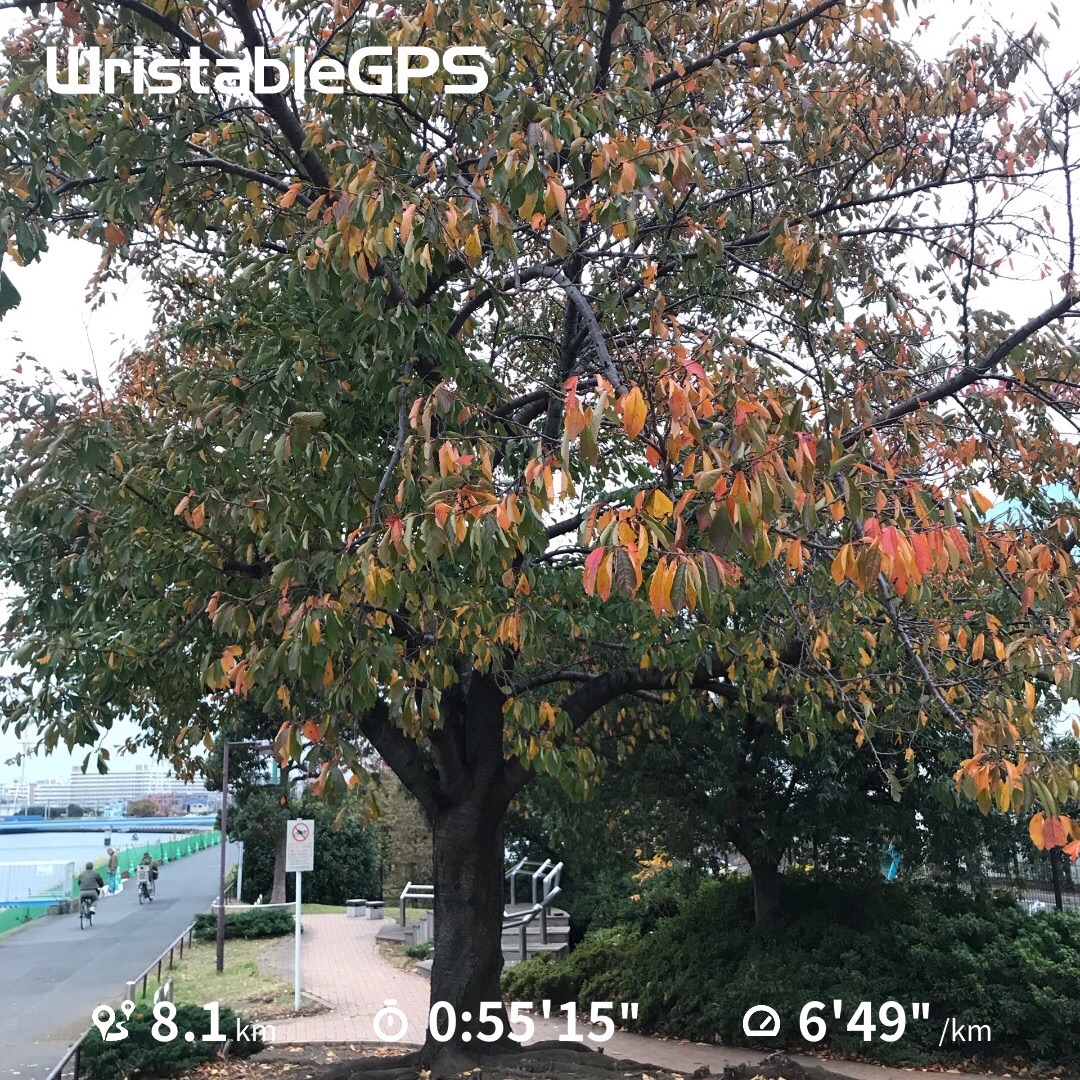 f:id:hatakofuru:20191124110020j:image f:id:hatakofuru:20191124110020j:image
