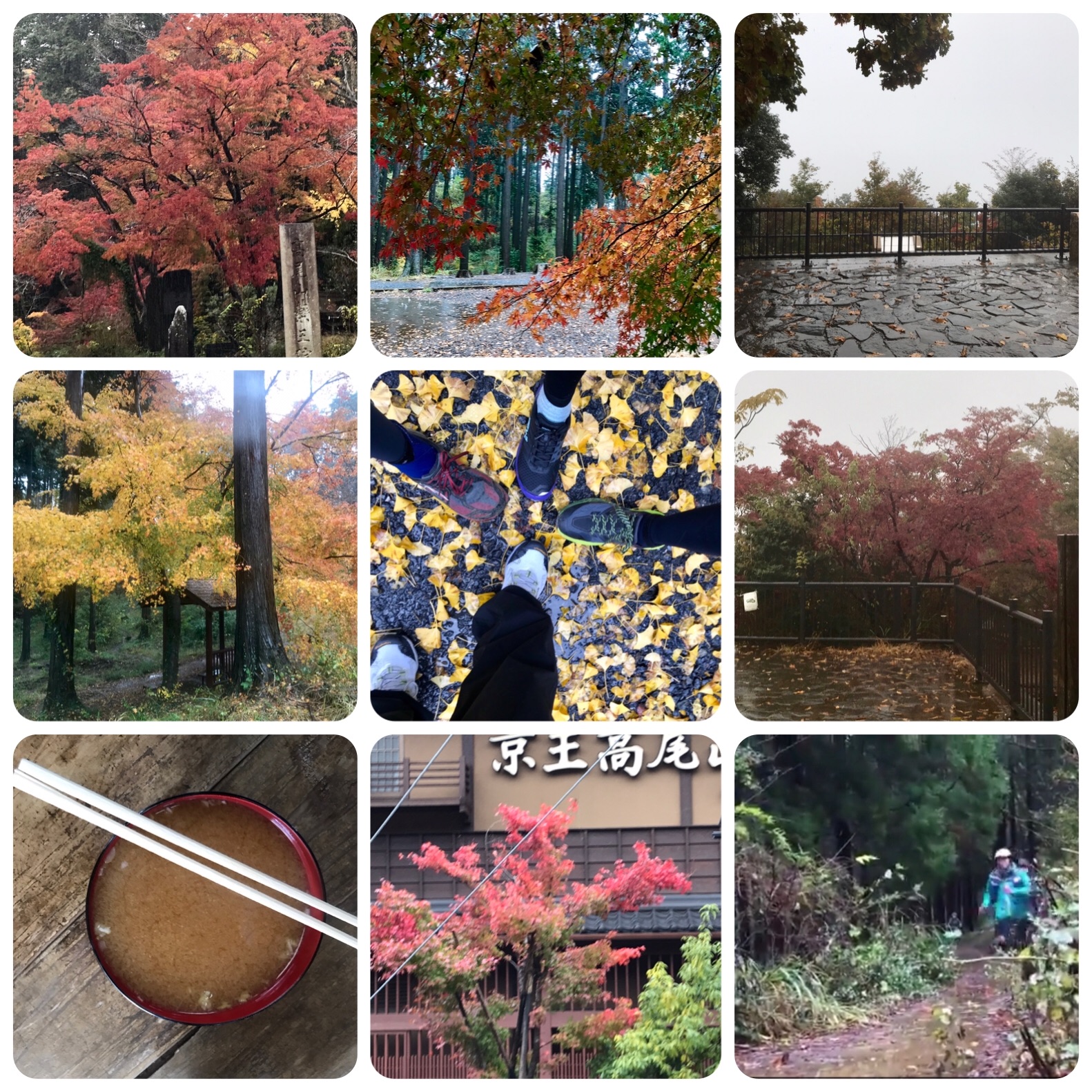 f:id:hatakofuru:20191124110732j:image f:id:hatakofuru:20191124110732j:image