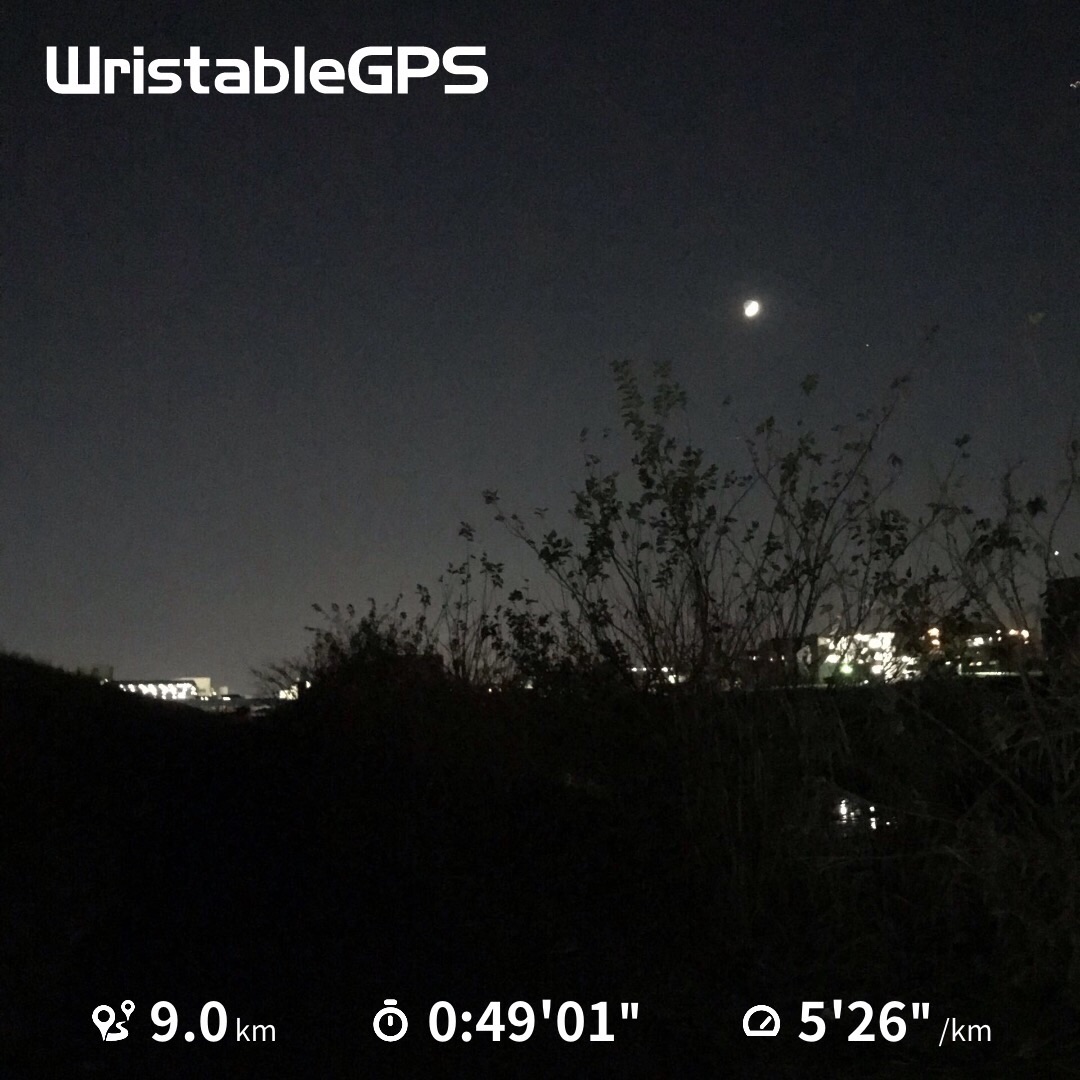 f:id:hatakofuru:20191203194429j:image f:id:hatakofuru:20191203194429j:image