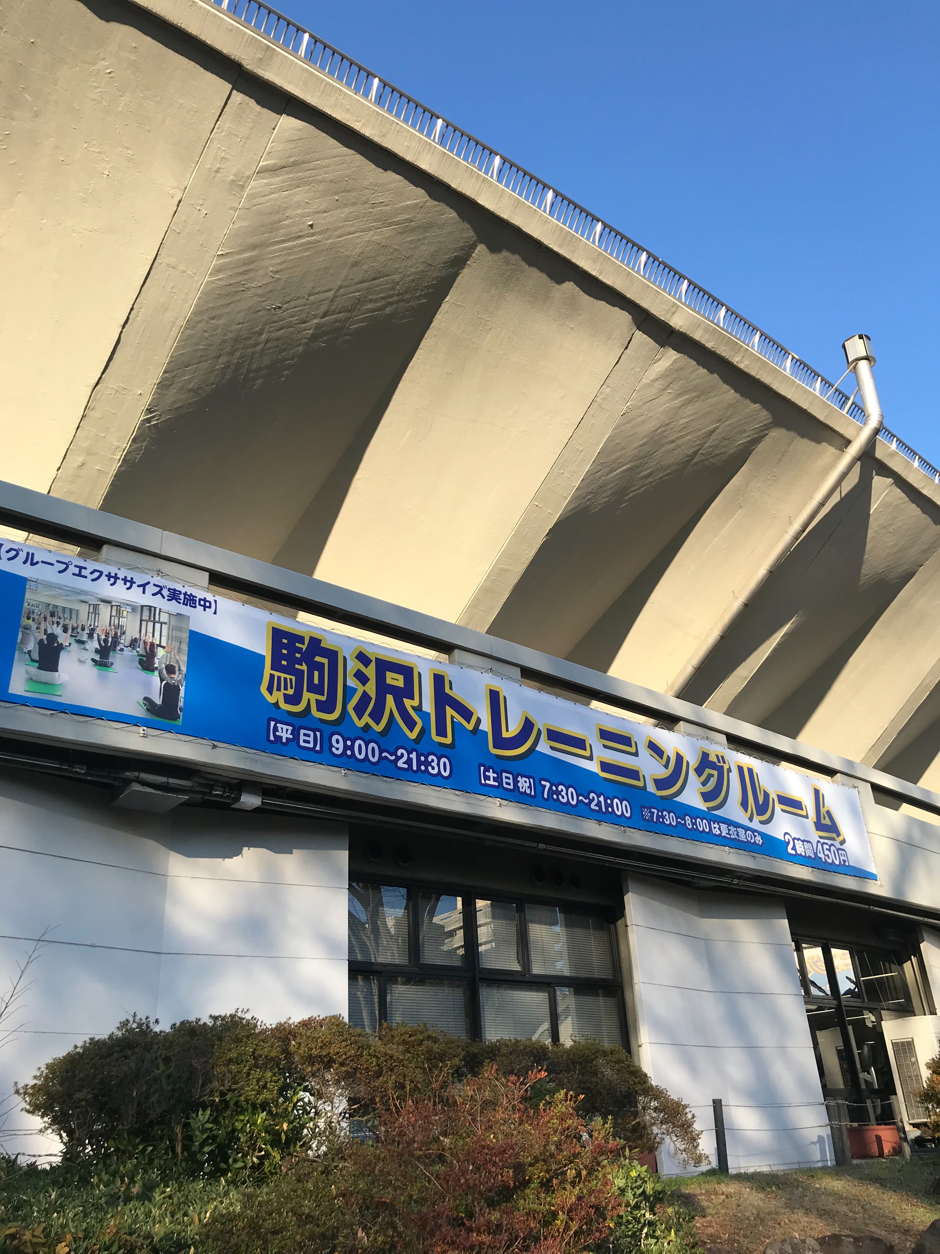 f:id:hatakofuru:20191231095431j:image f:id:hatakofuru:20191231095431j:image