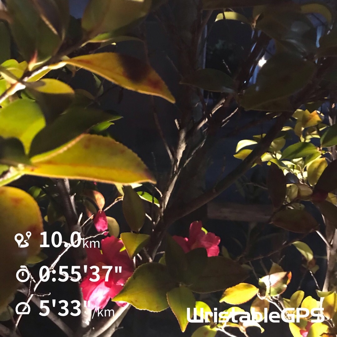 f:id:hatakofuru:20200122075117j:image