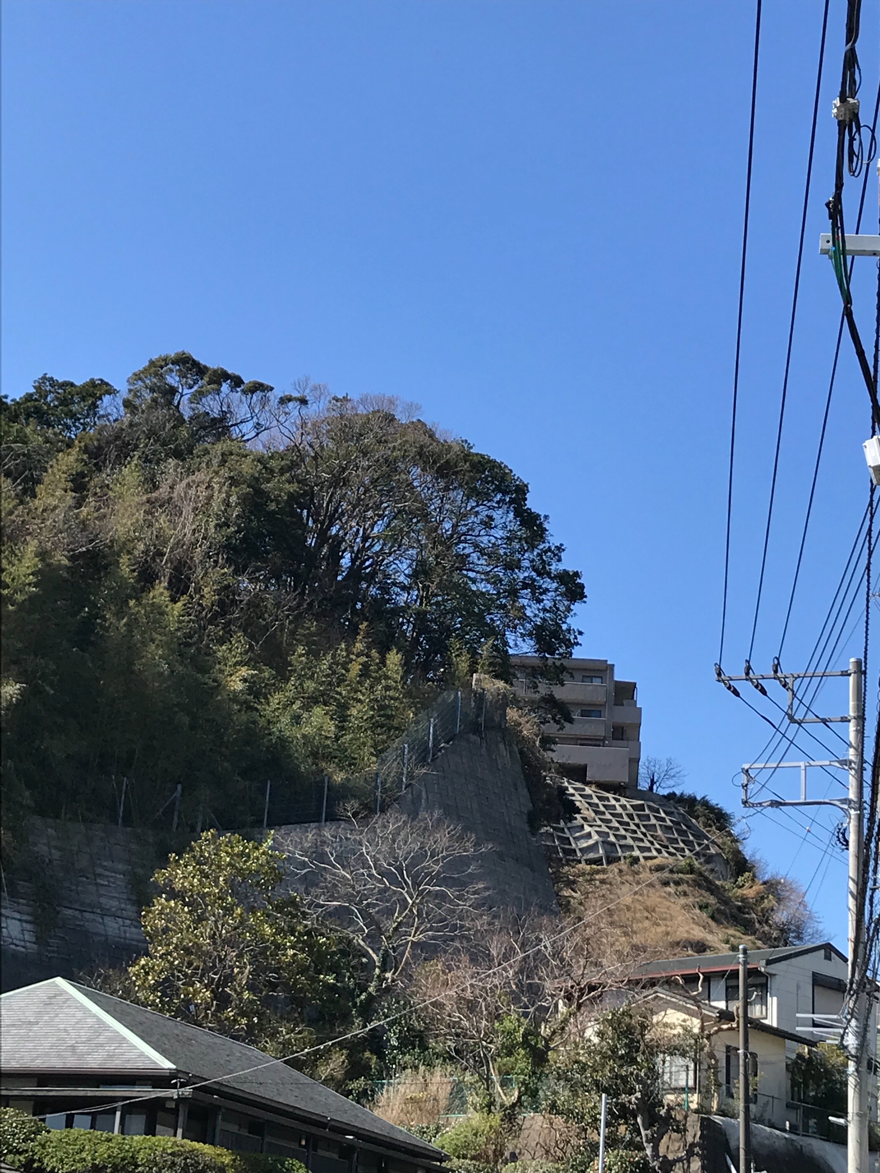 f:id:hatakofuru:20200226074134j:image