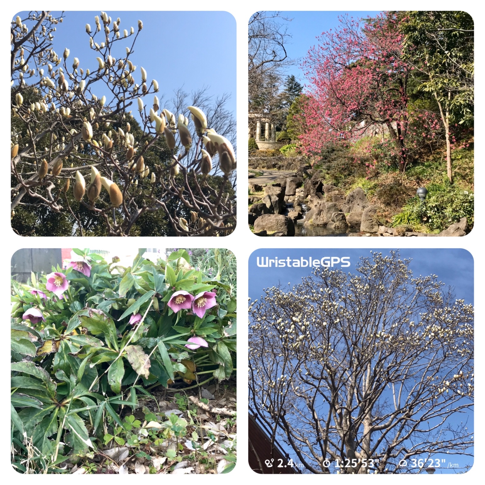 f:id:hatakofuru:20200303080404j:image f:id:hatakofuru:20200303080404j:image