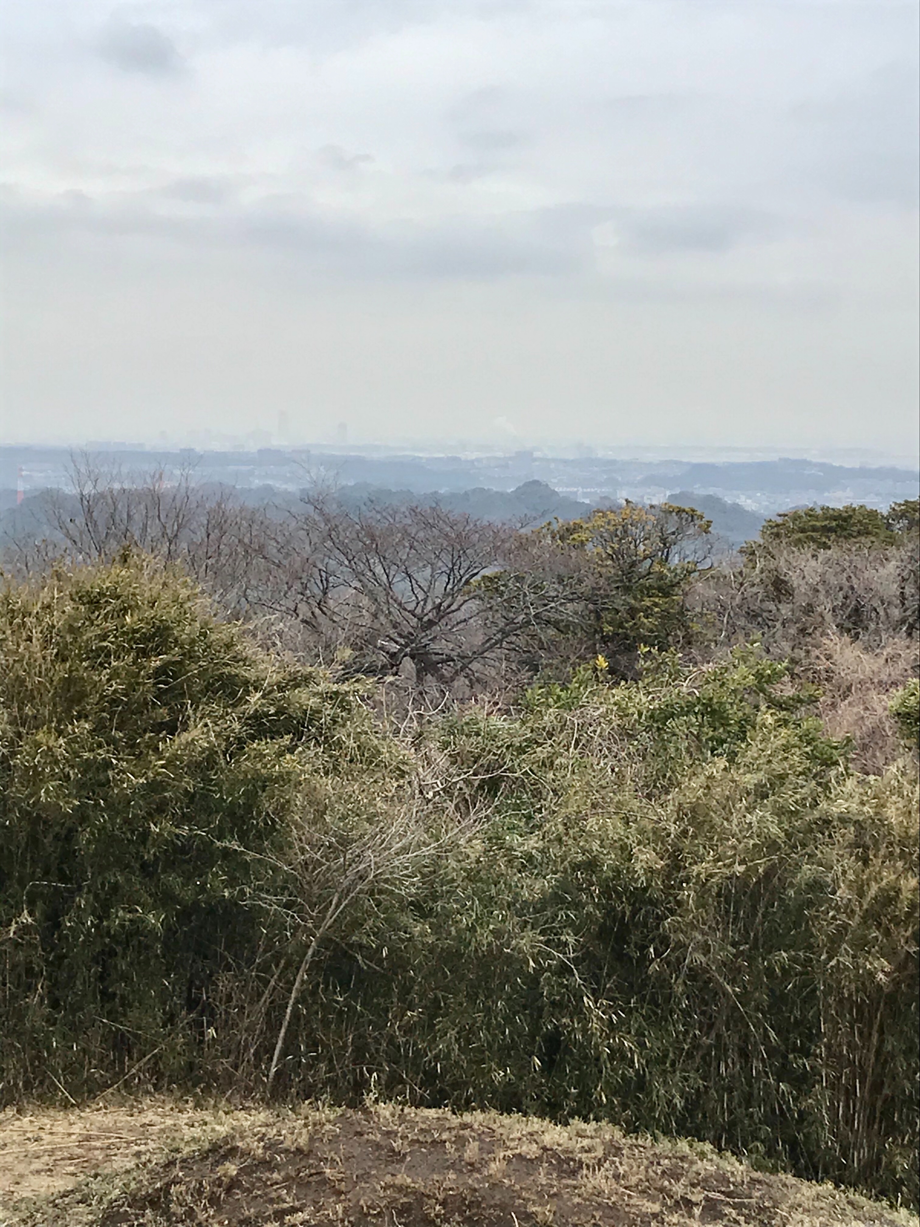 f:id:hatakofuru:20200312074732j:image