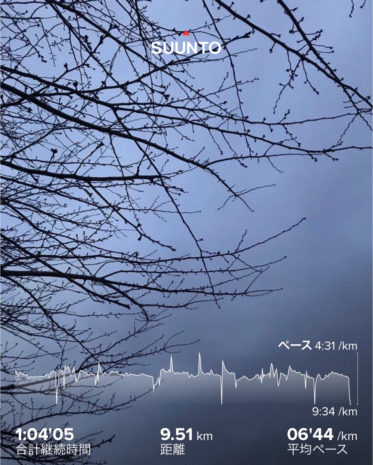 f:id:hatakofuru:20200312075330j:image
