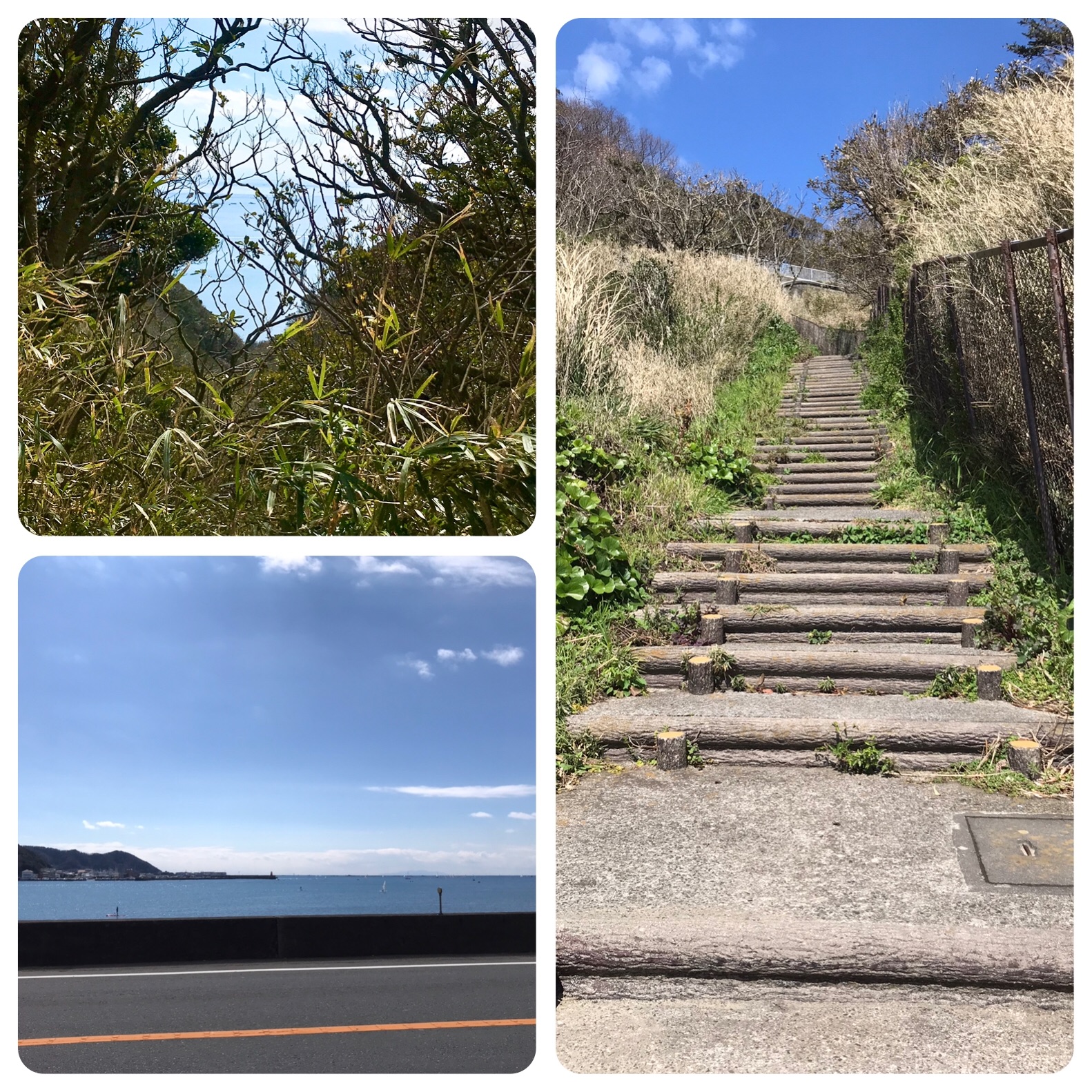 f:id:hatakofuru:20200316192532j:image f:id:hatakofuru:20200316192532j:image