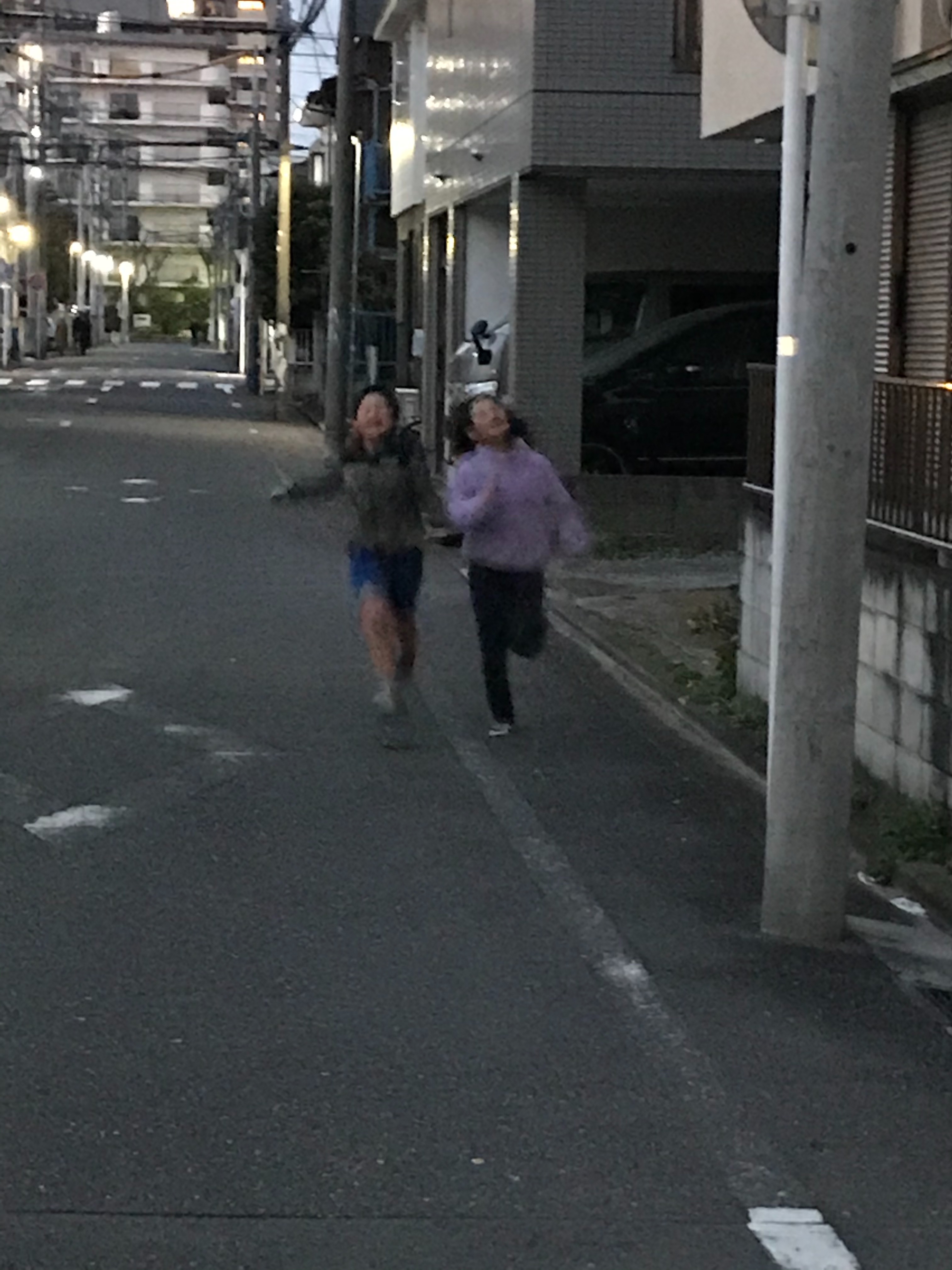 f:id:hatakofuru:20200316224632j:image f:id:hatakofuru:20200316224632j:image