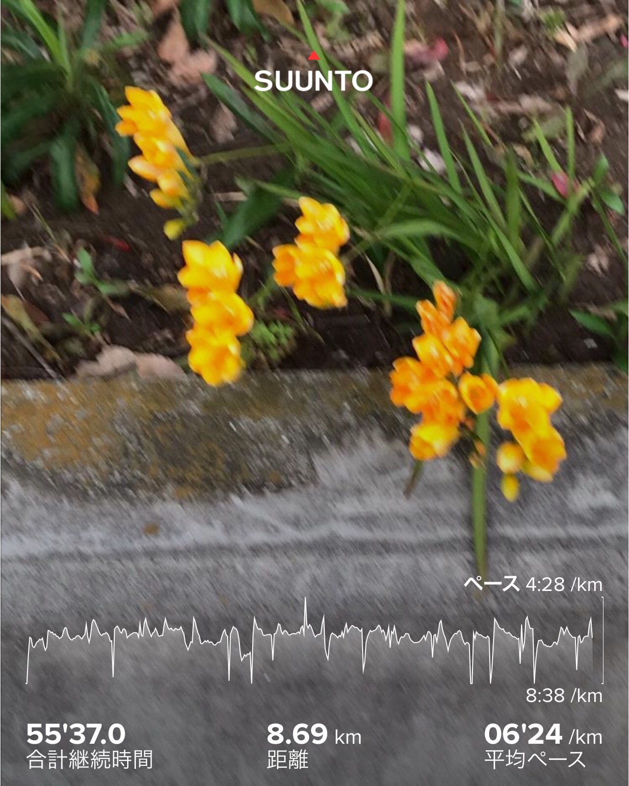 f:id:hatakofuru:20200325081130j:image f:id:hatakofuru:20200325081130j:image