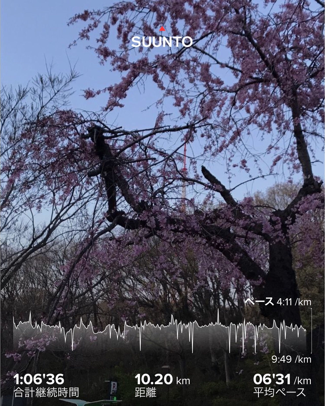 f:id:hatakofuru:20200325081214j:image f:id:hatakofuru:20200325081214j:image