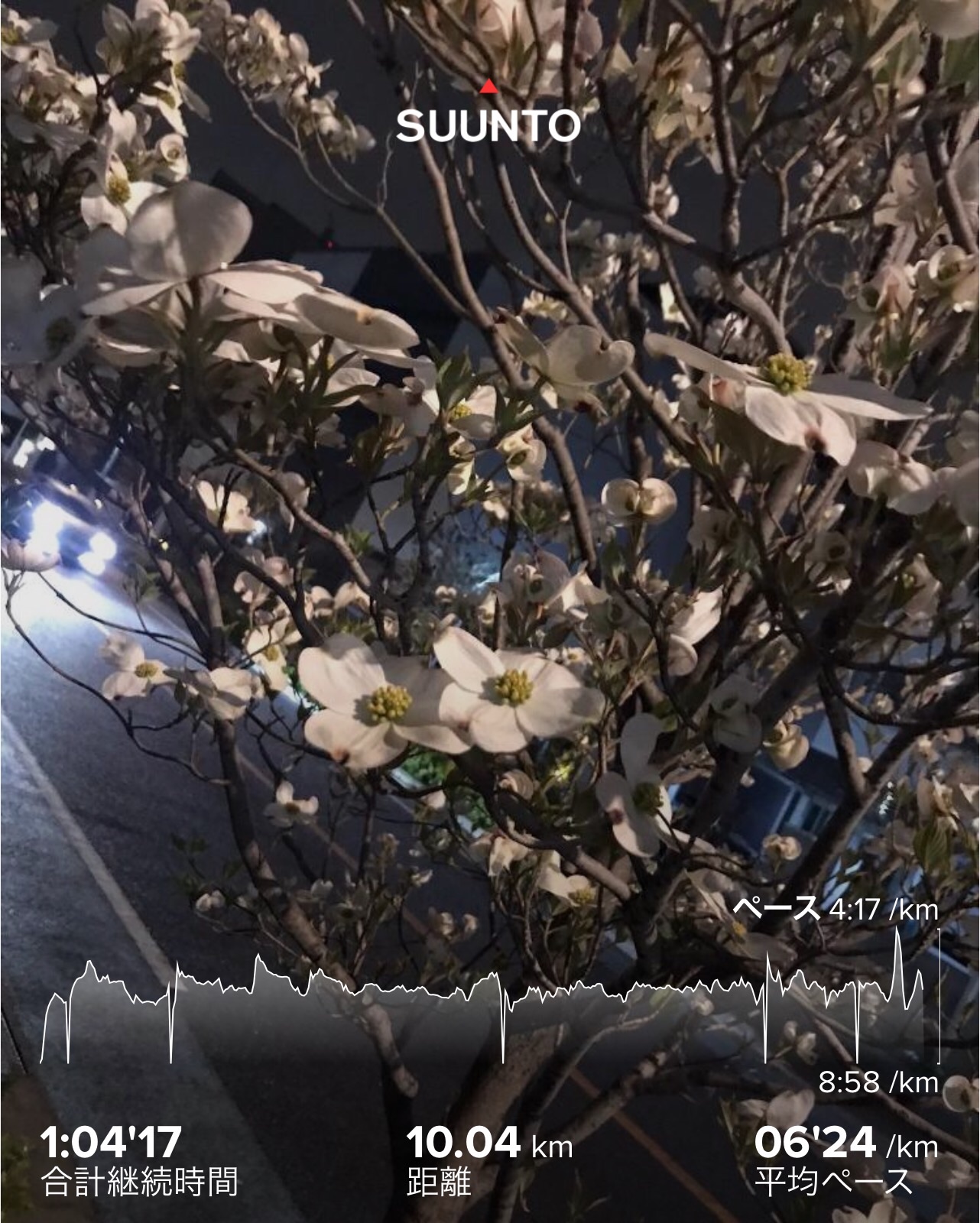 f:id:hatakofuru:20200417065437j:image