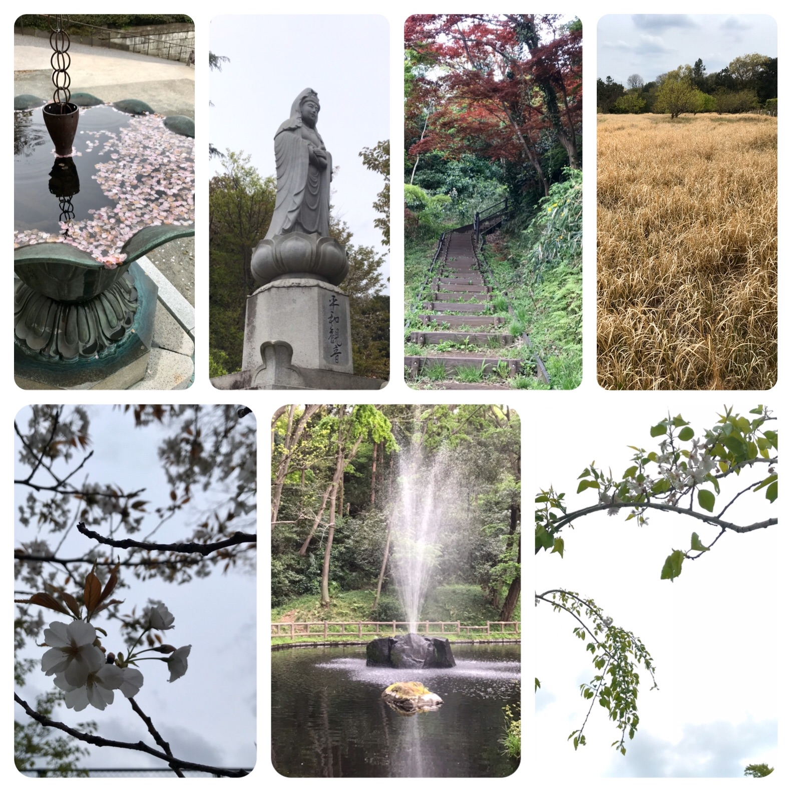 f:id:hatakofuru:20200417065830j:image