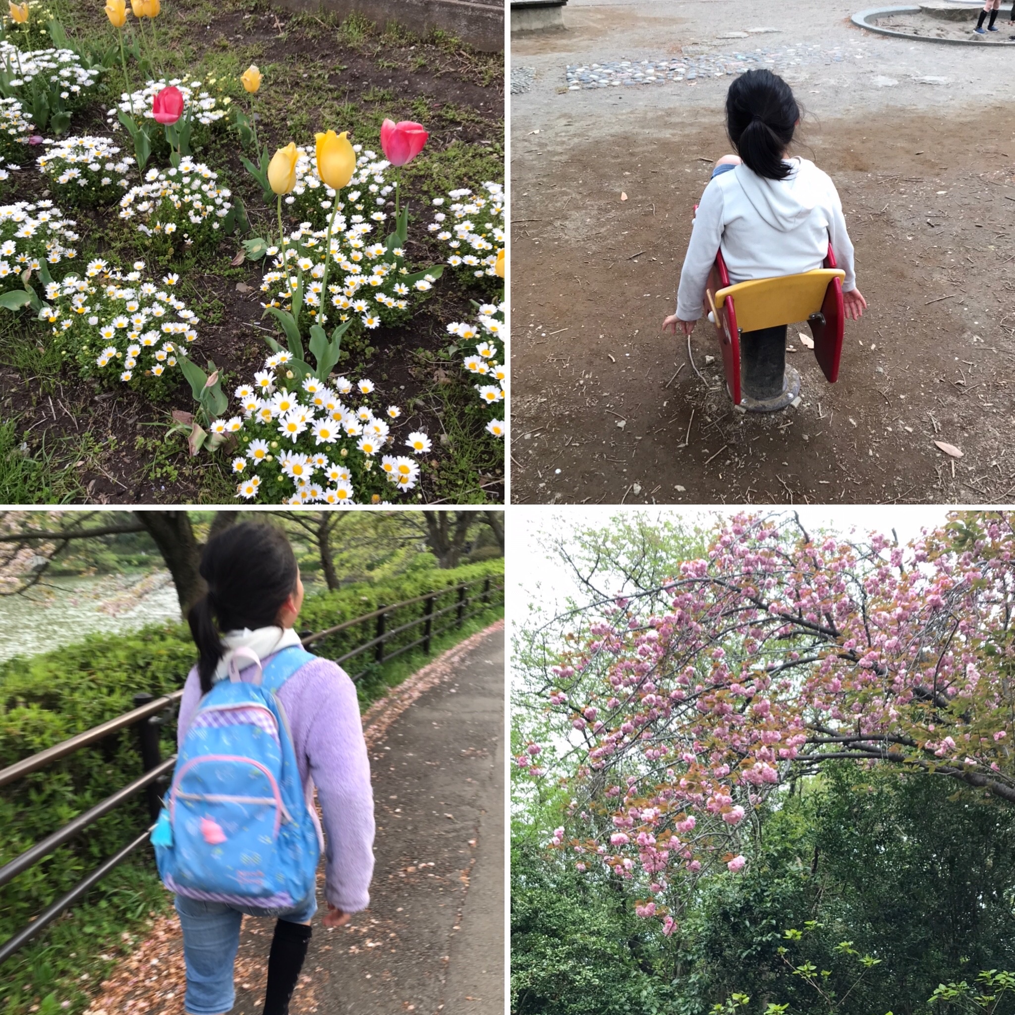 f:id:hatakofuru:20200417070426j:image