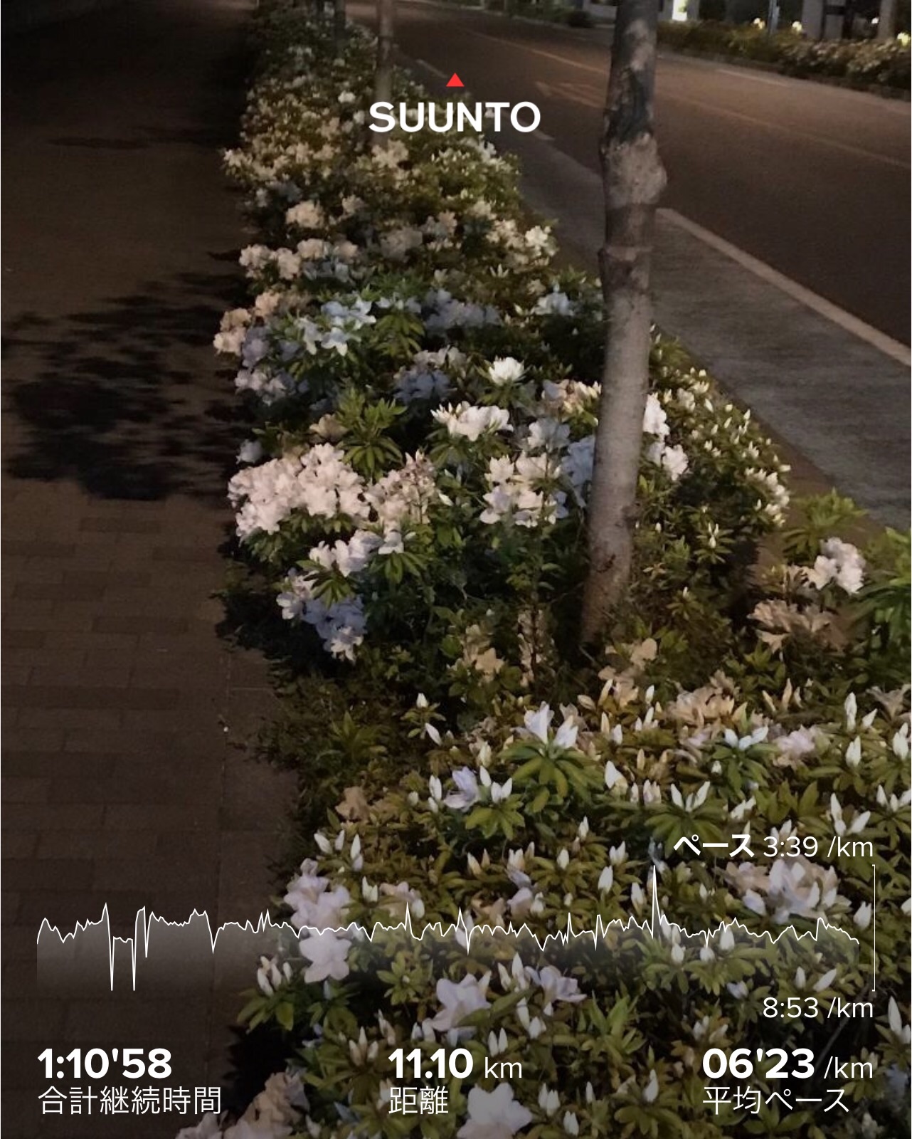 f:id:hatakofuru:20200419173756j:image