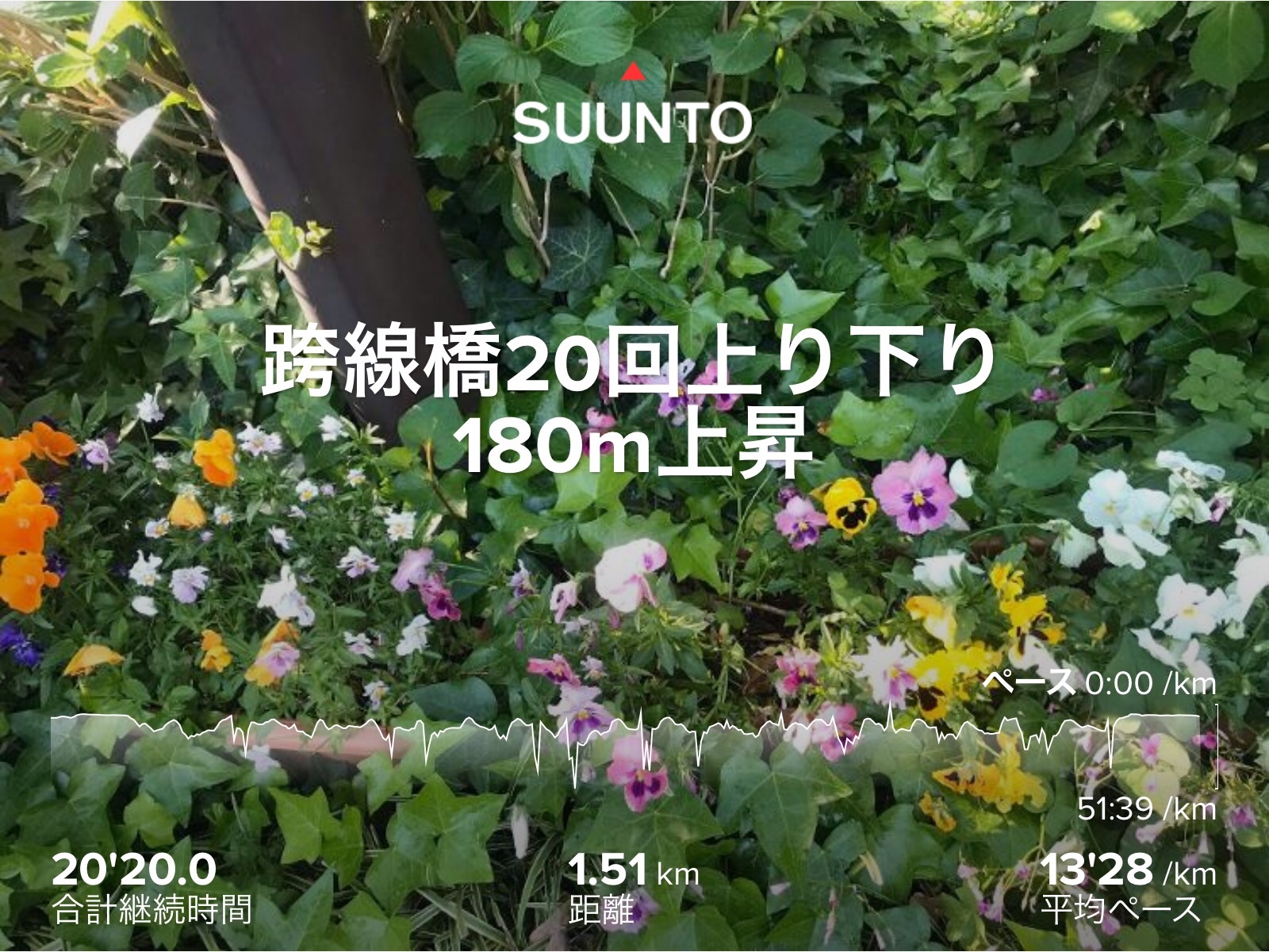 f:id:hatakofuru:20200429194954j:image f:id:hatakofuru:20200429194954j:image