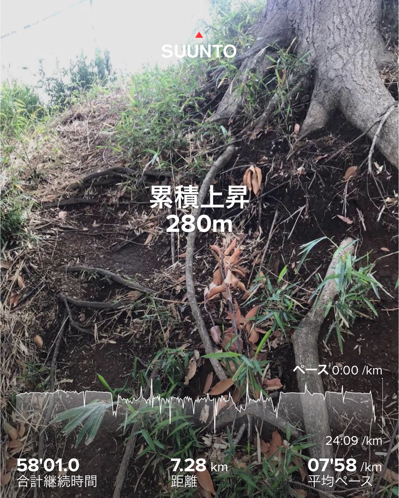 f:id:hatakofuru:20200429195250j:image f:id:hatakofuru:20200429195250j:image