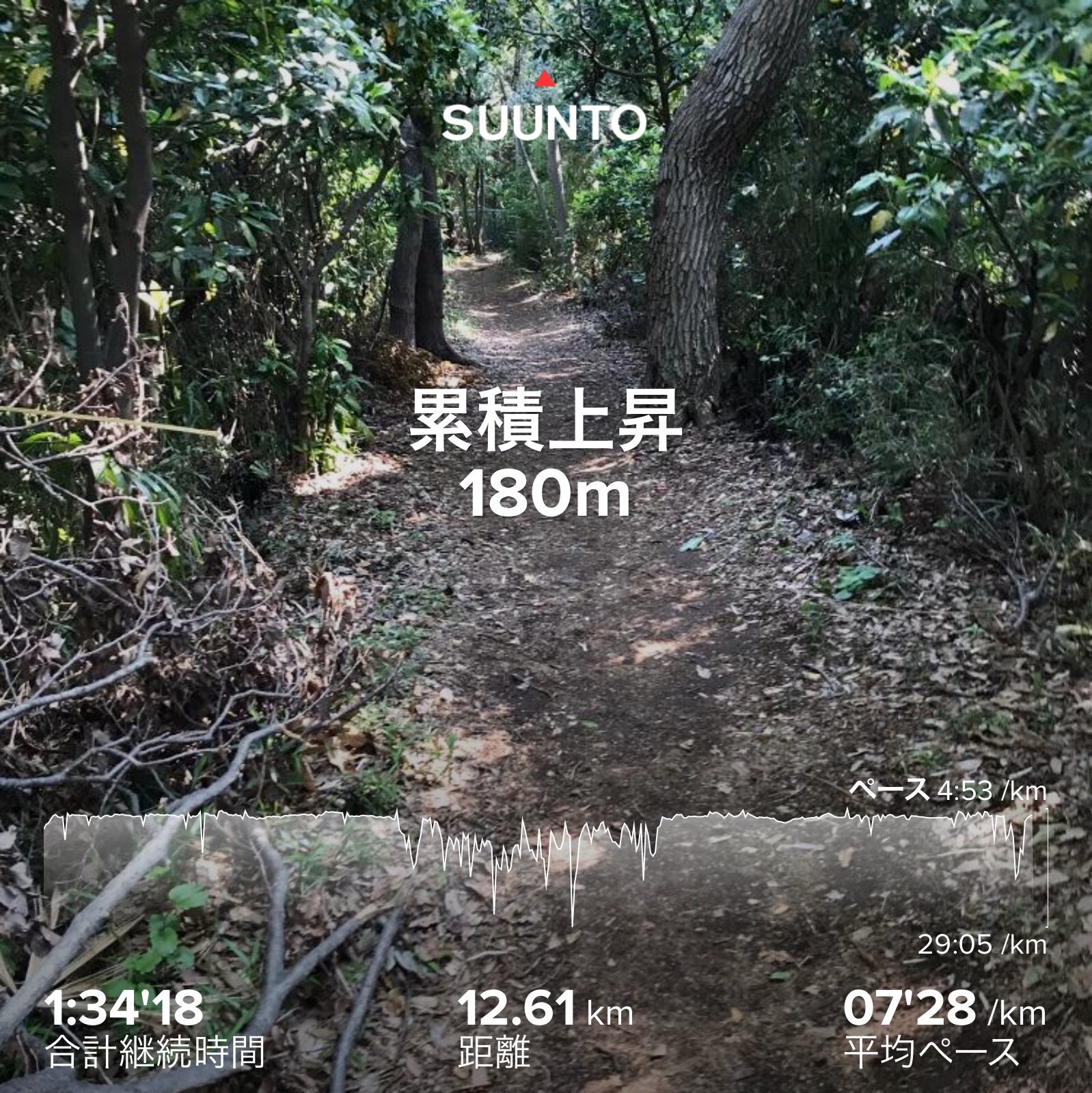 f:id:hatakofuru:20200501063853j:image f:id:hatakofuru:20200501063853j:image