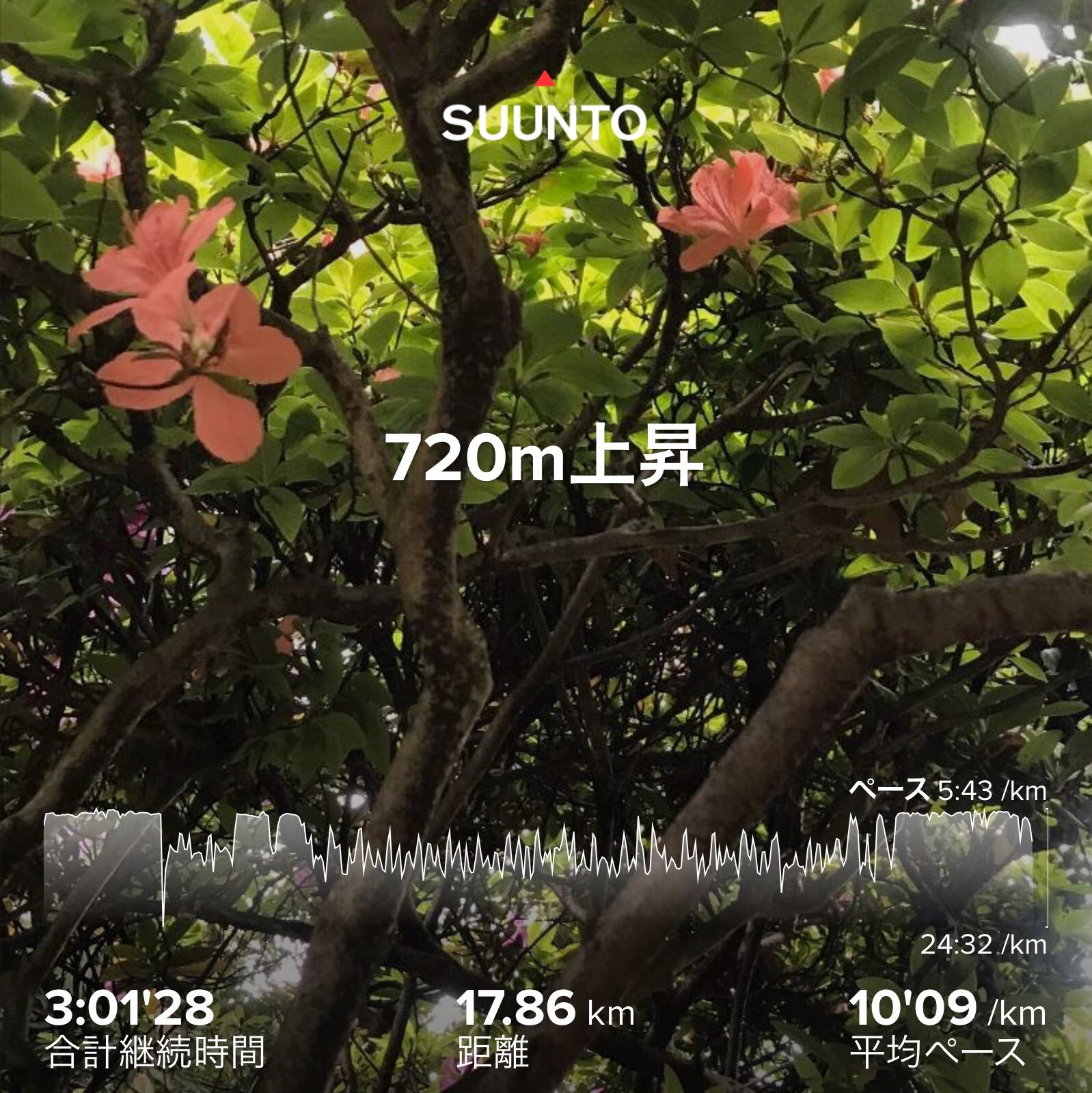 f:id:hatakofuru:20200508195145j:image f:id:hatakofuru:20200508195145j:image