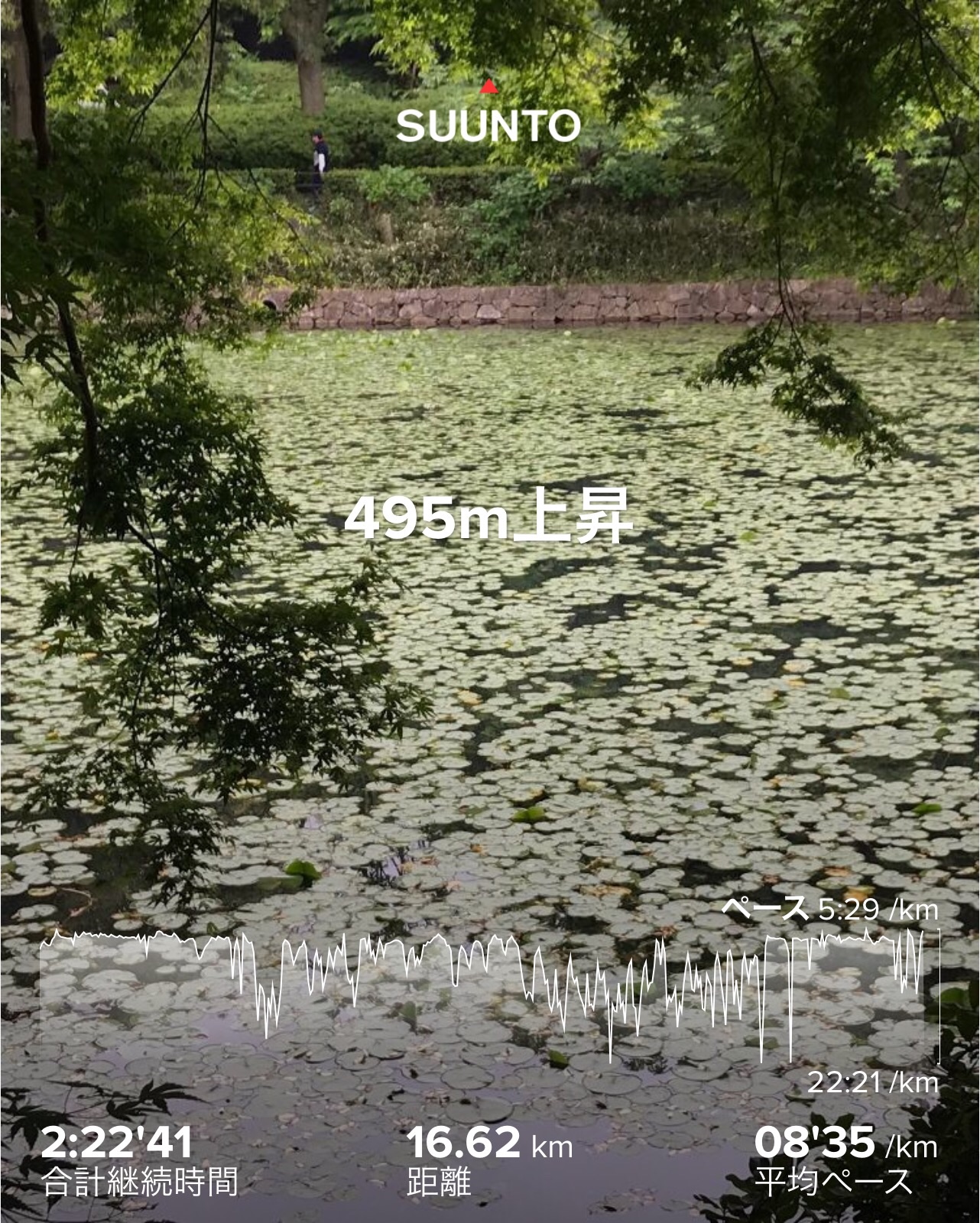 f:id:hatakofuru:20200508195454j:image f:id:hatakofuru:20200508195454j:image