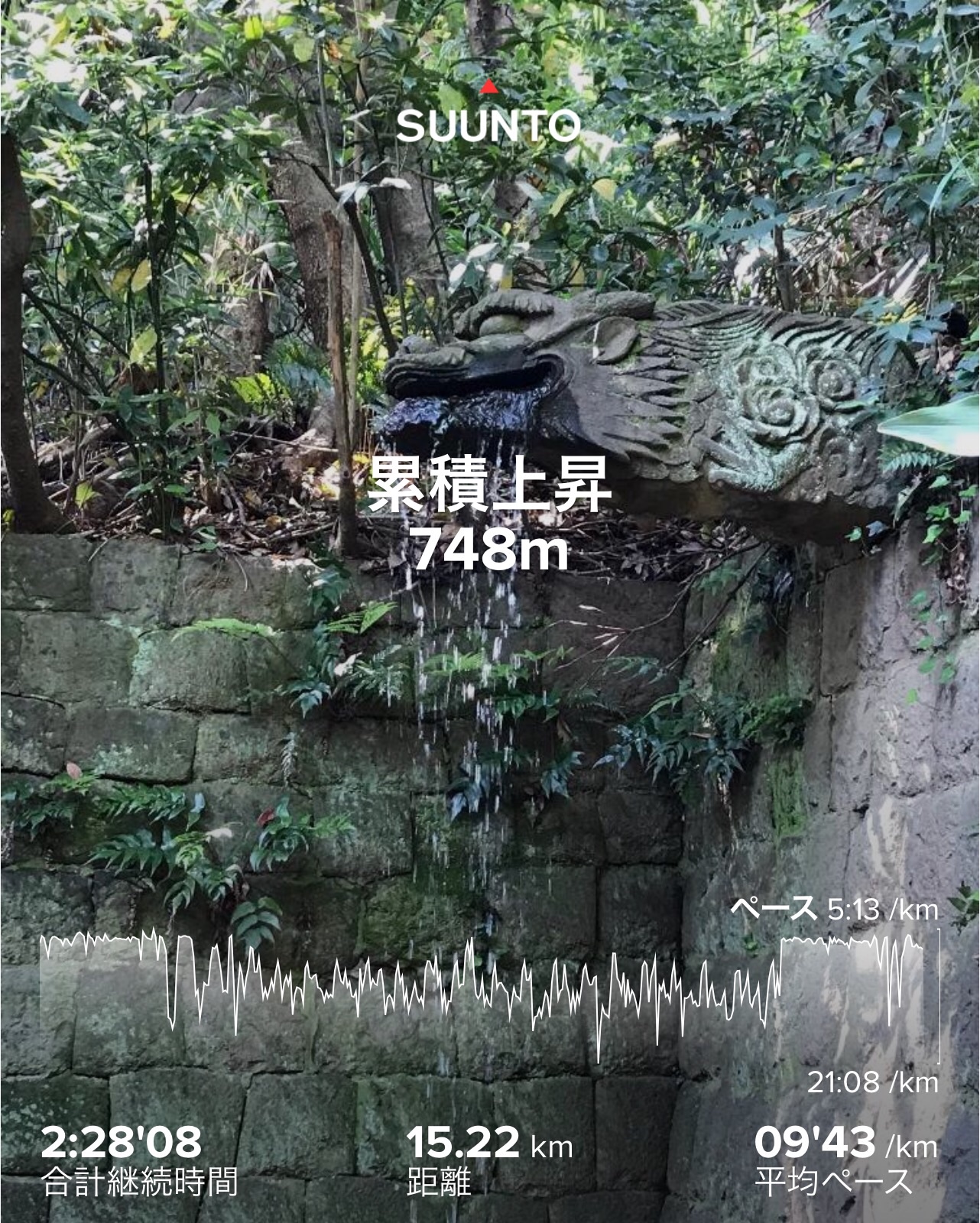f:id:hatakofuru:20200508200114j:image f:id:hatakofuru:20200508200114j:image