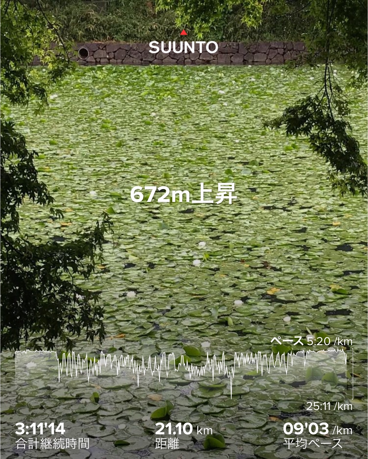 f:id:hatakofuru:20200519102522j:image f:id:hatakofuru:20200519102522j:image