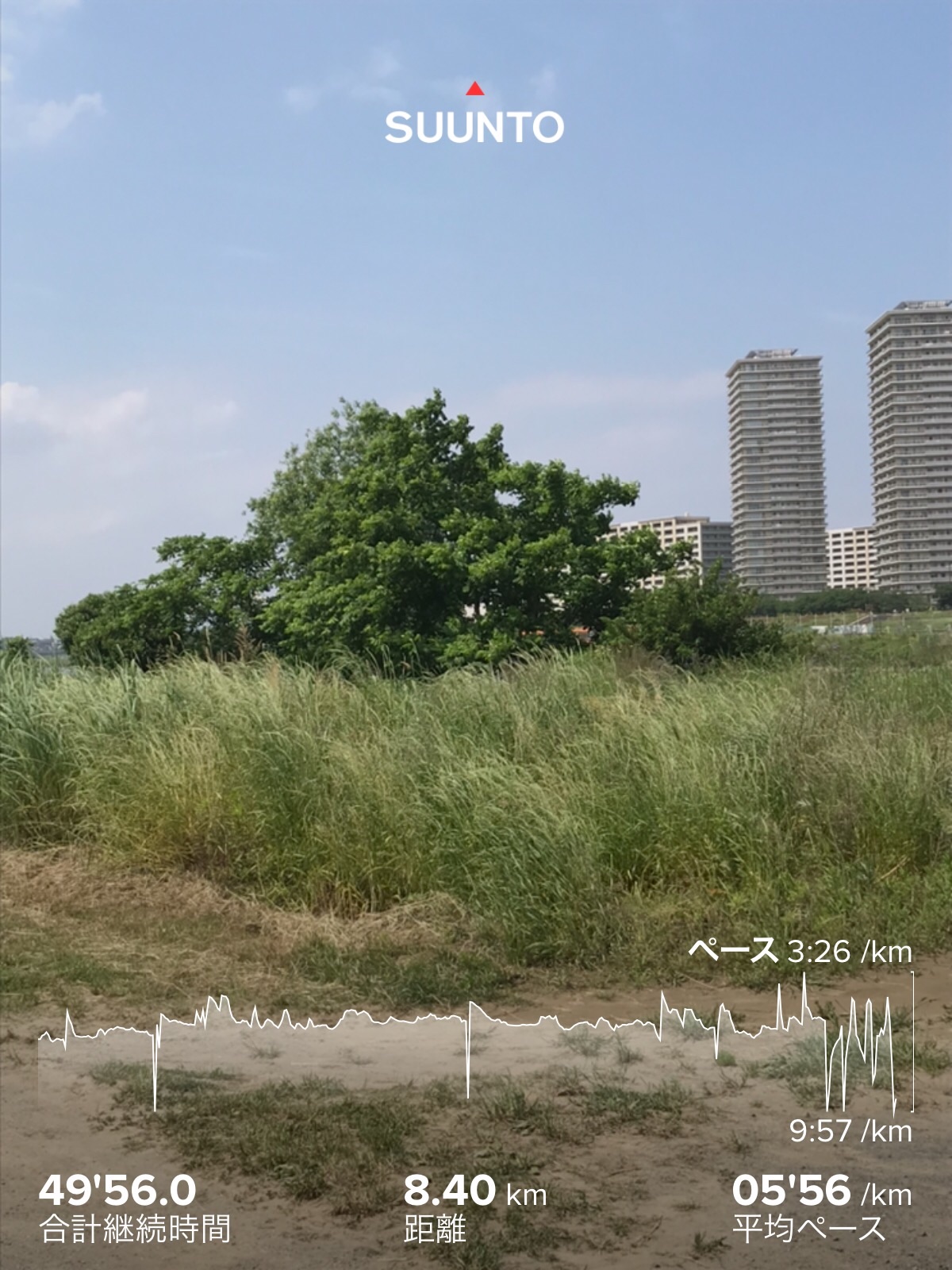 f:id:hatakofuru:20200529061255j:image f:id:hatakofuru:20200529061255j:image