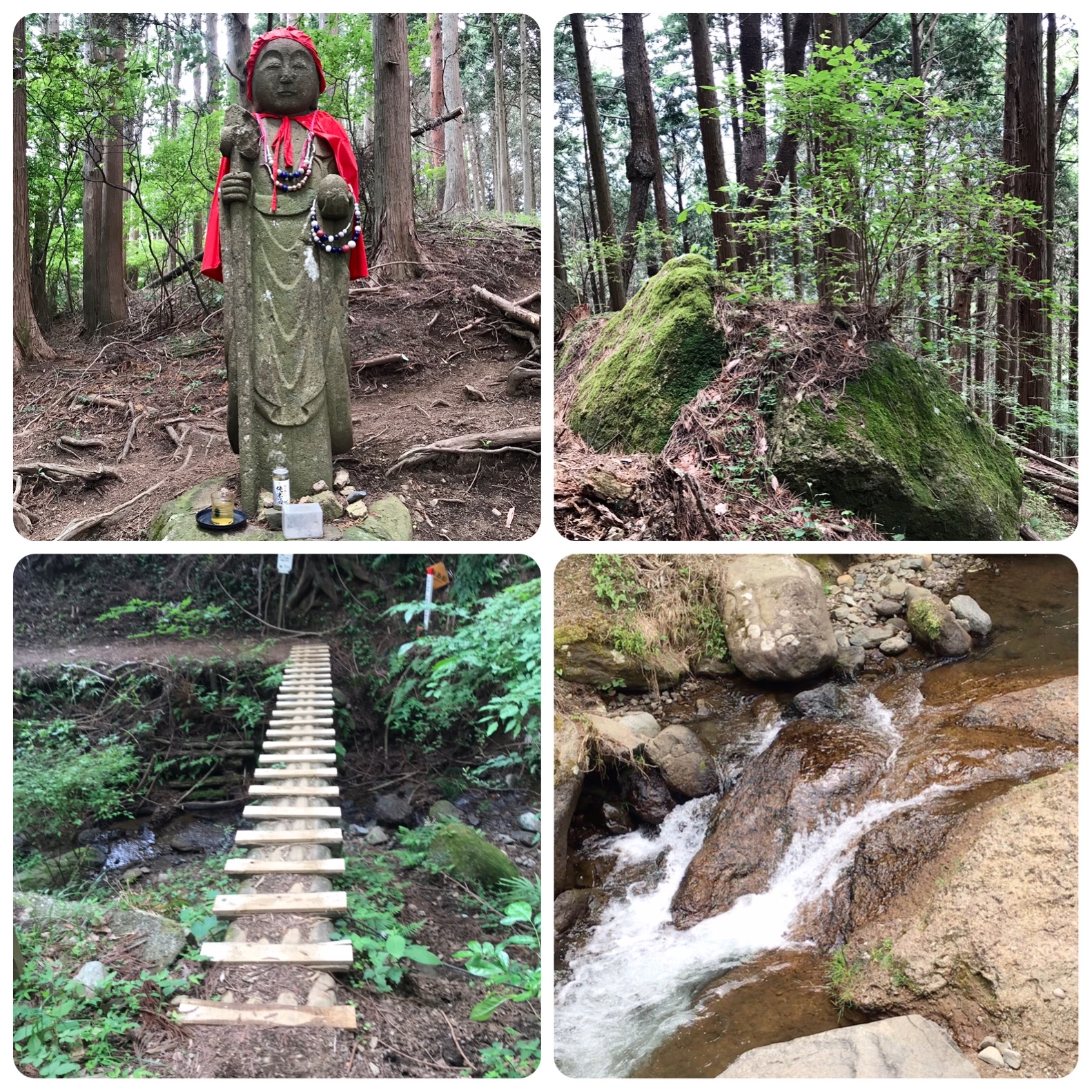 f:id:hatakofuru:20200610193823j:image f:id:hatakofuru:20200610193823j:image