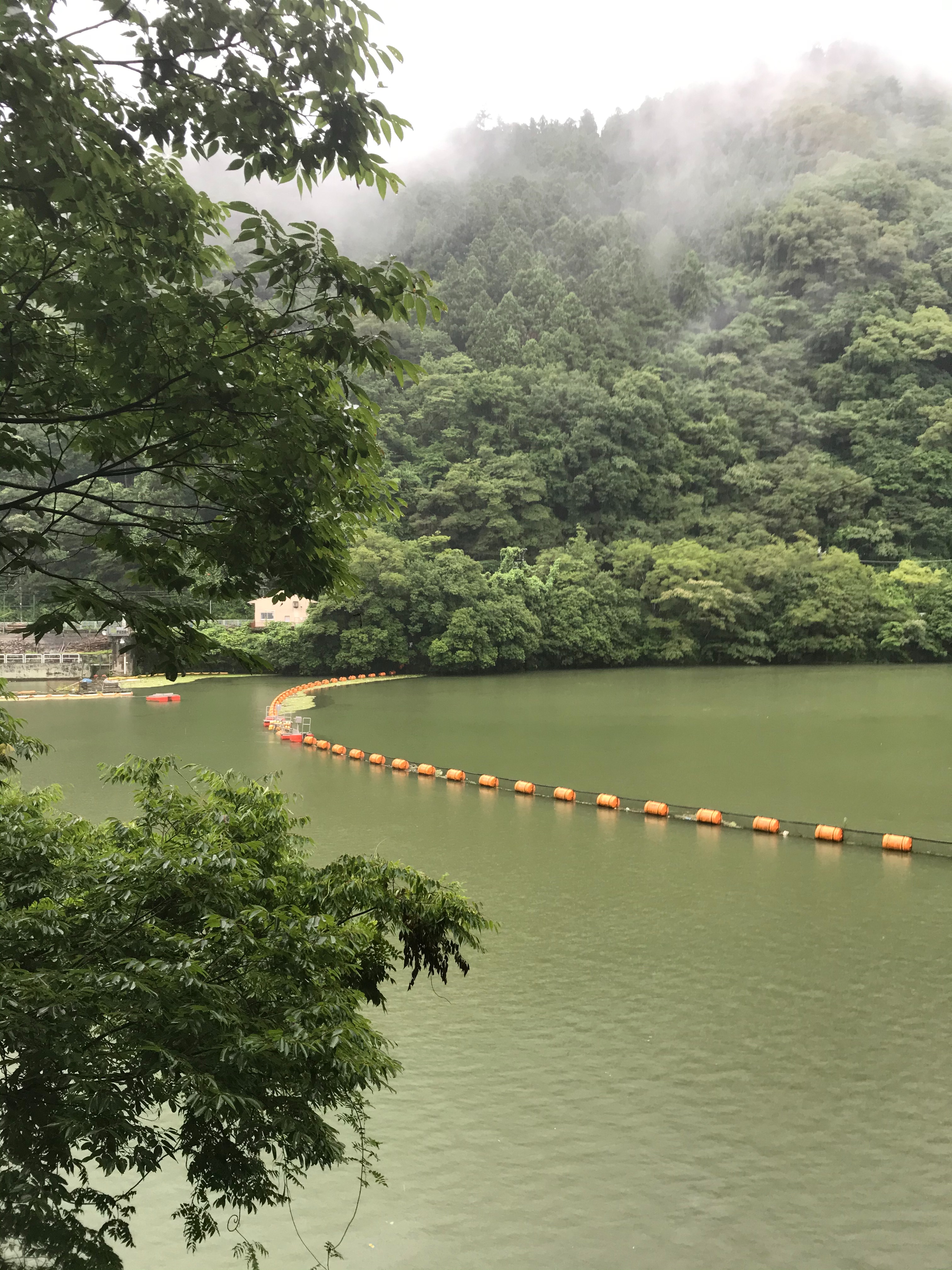 f:id:hatakofuru:20200706164000j:plain