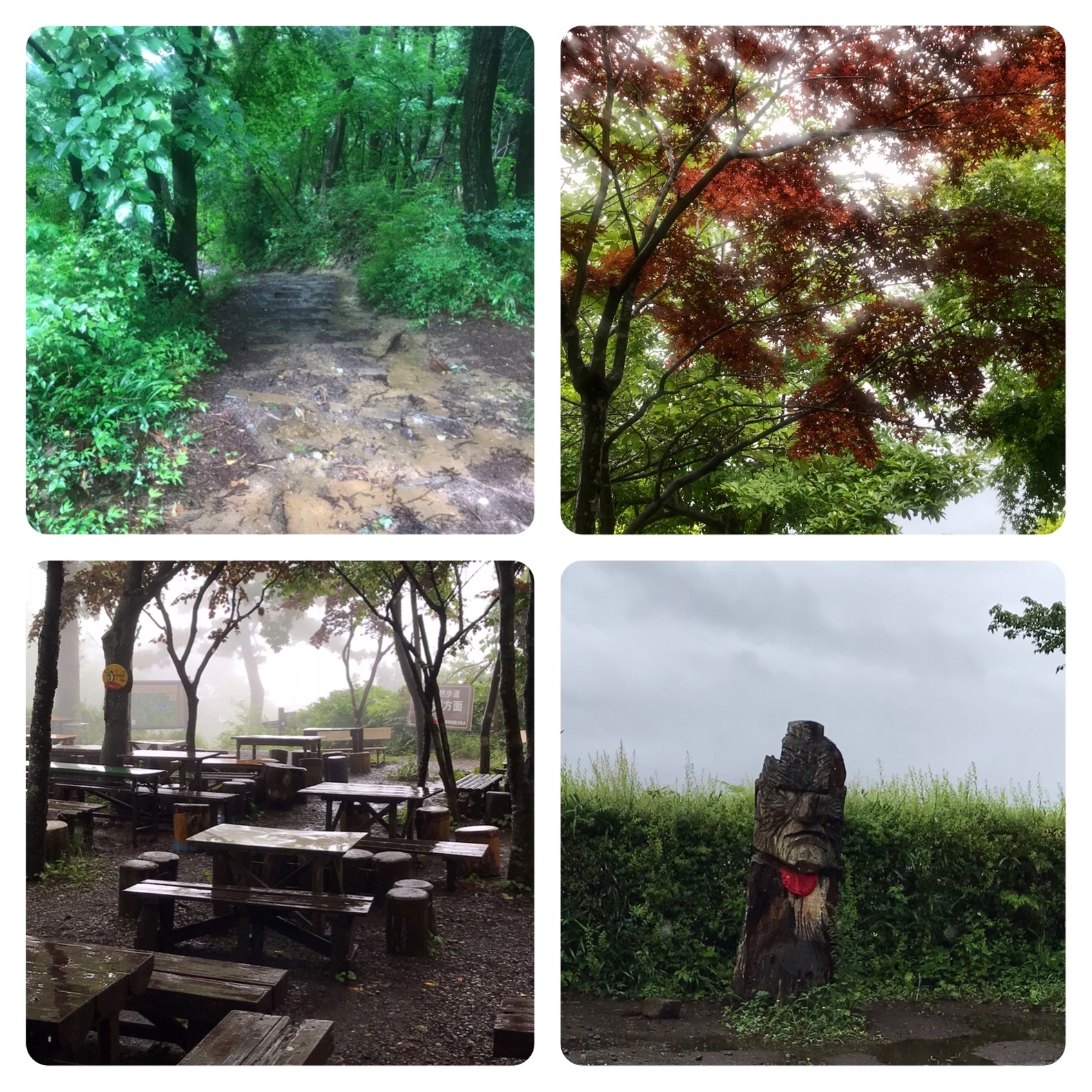 f:id:hatakofuru:20200706180232j:plain
