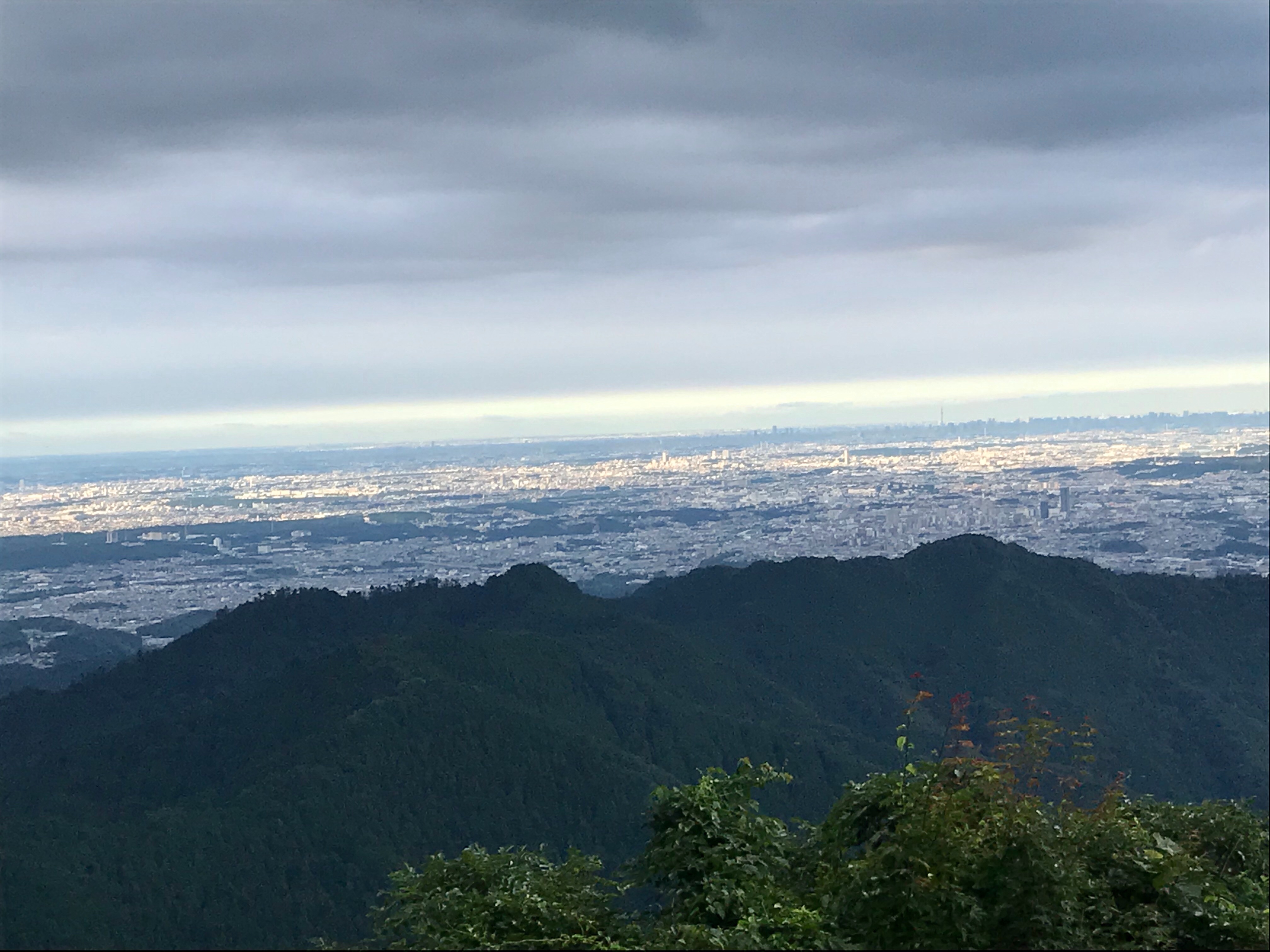 f:id:hatakofuru:20200803125413j:plain