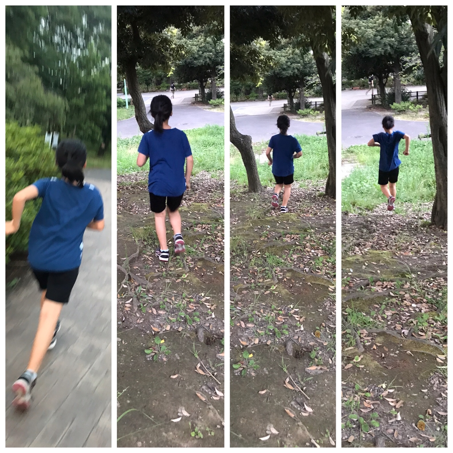 f:id:hatakofuru:20200829123943j:plain f:id:hatakofuru:20200829123943j:plain