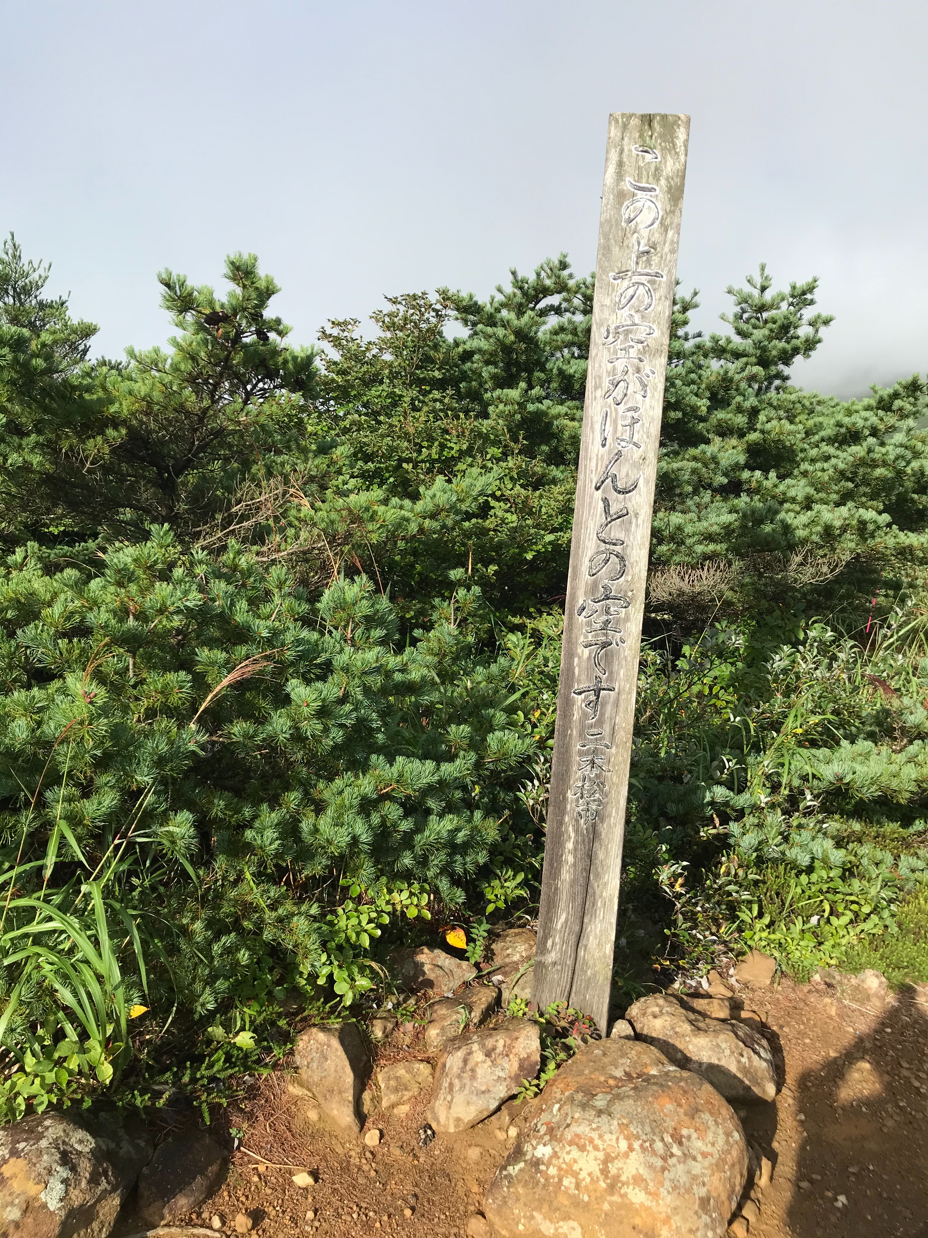 f:id:hatakofuru:20200908204857j:plain f:id:hatakofuru:20200908204857j:plain