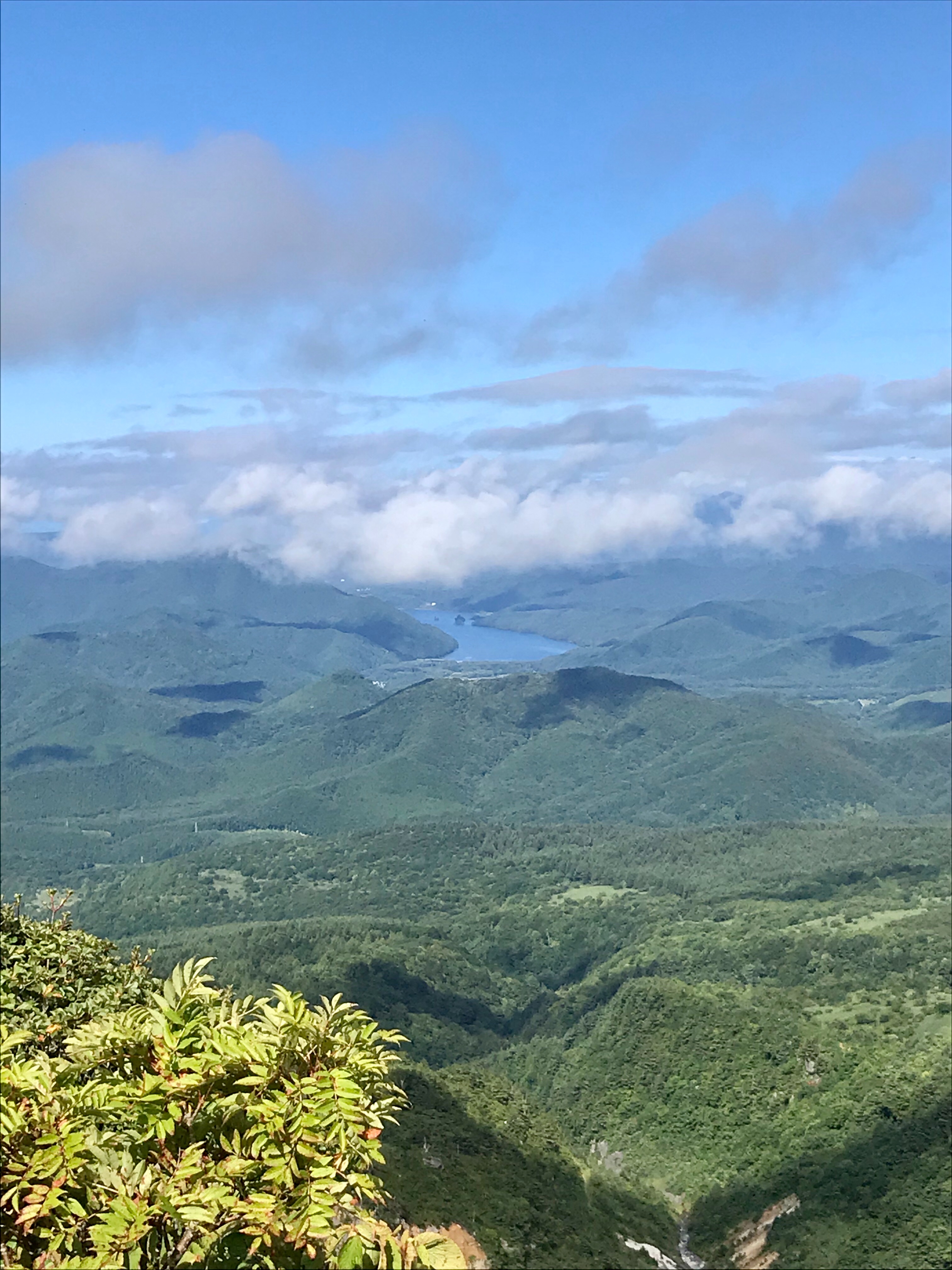 f:id:hatakofuru:20200909130412j:plain f:id:hatakofuru:20200909130412j:plain