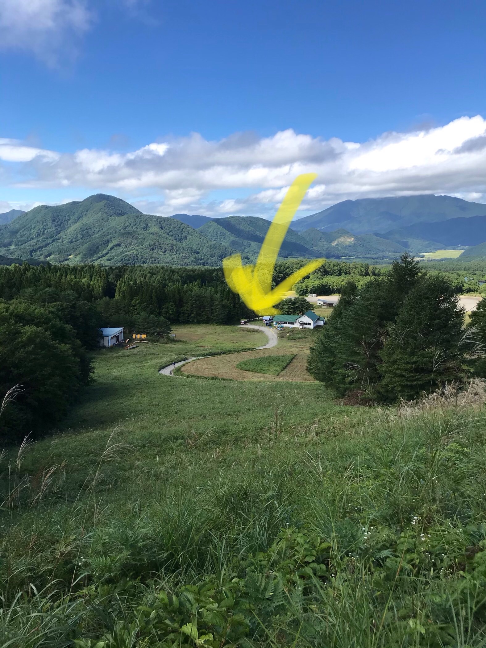 f:id:hatakofuru:20200909131020j:plain f:id:hatakofuru:20200909131020j:plain