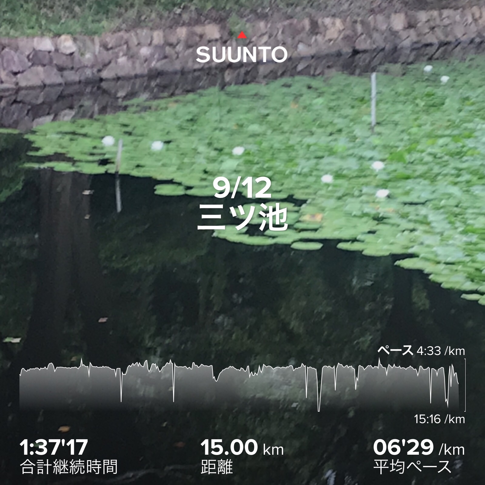 f:id:hatakofuru:20200916073726j:plain f:id:hatakofuru:20200916073726j:plain