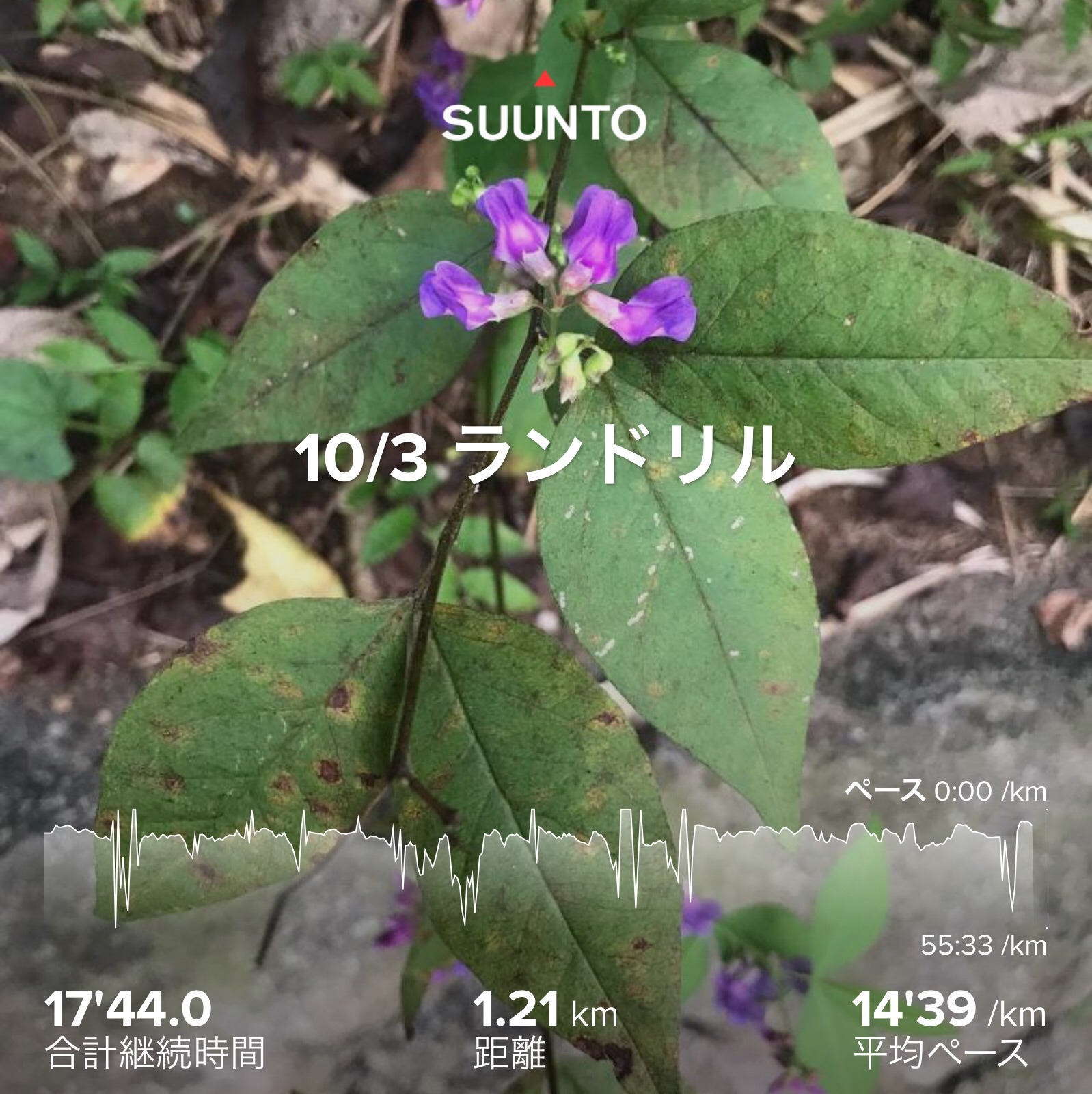f:id:hatakofuru:20201004101911j:plain