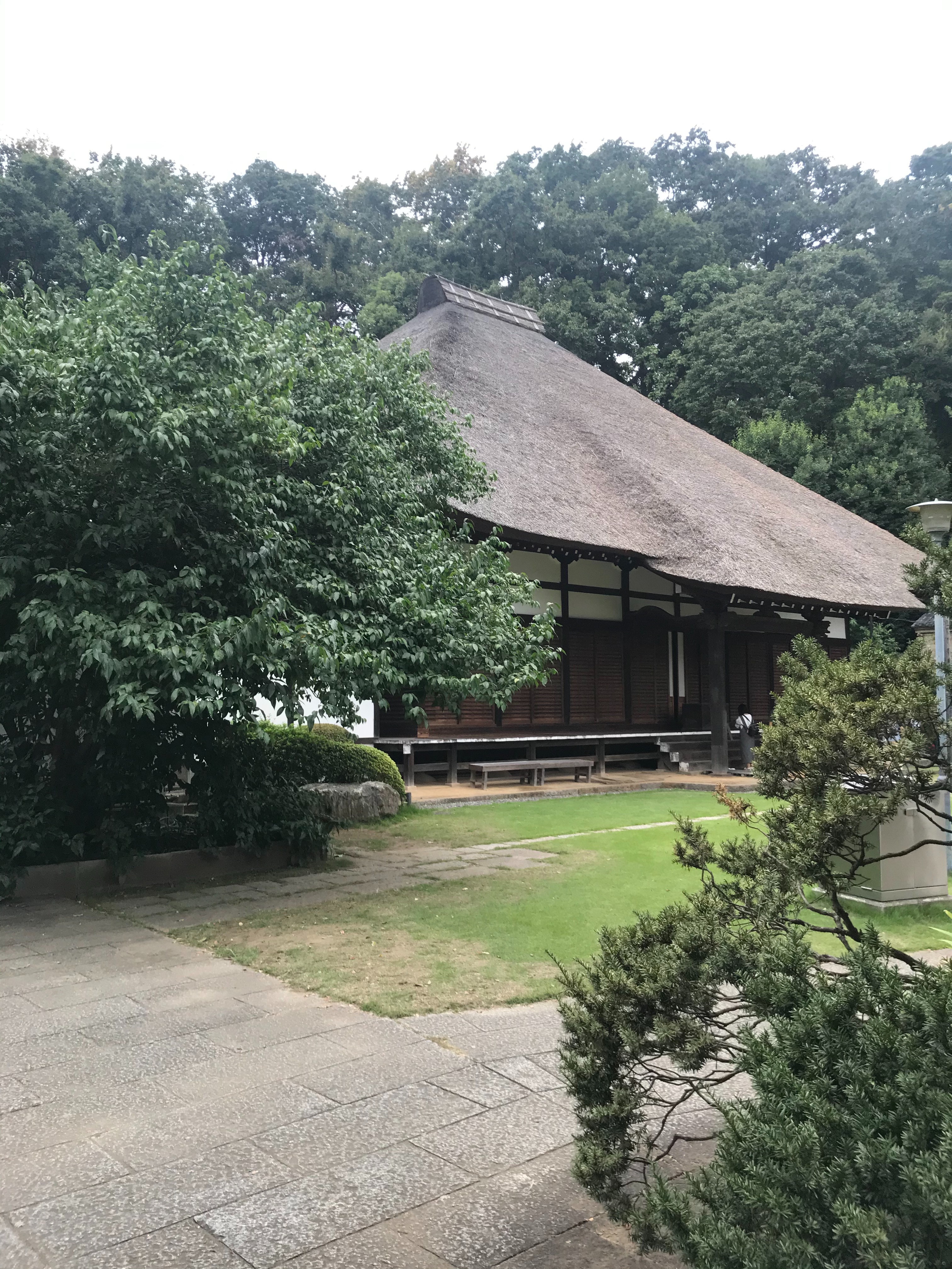 f:id:hatakofuru:20201008073423j:plain f:id:hatakofuru:20201008073423j:plain