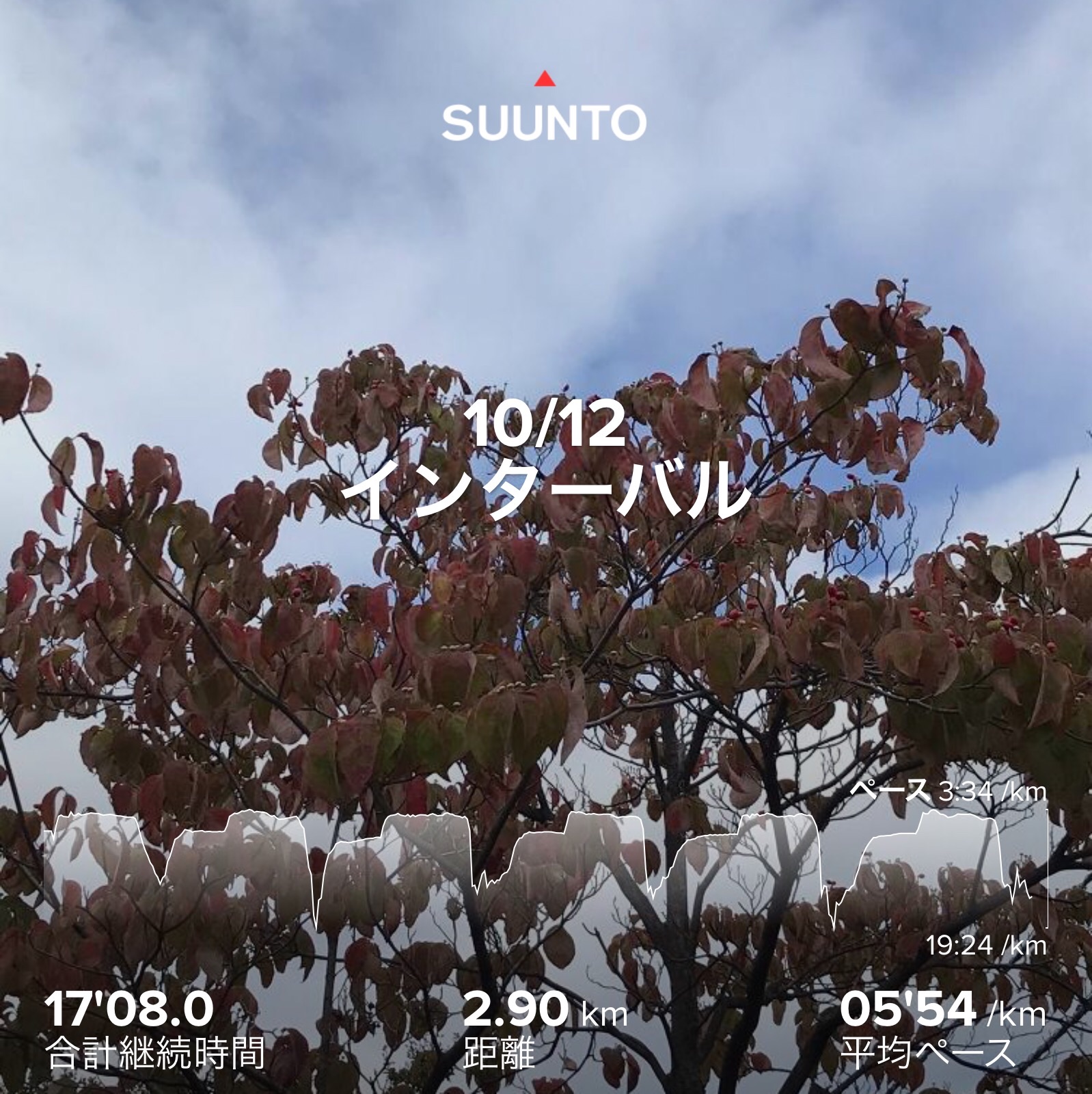 f:id:hatakofuru:20201014125129j:plain