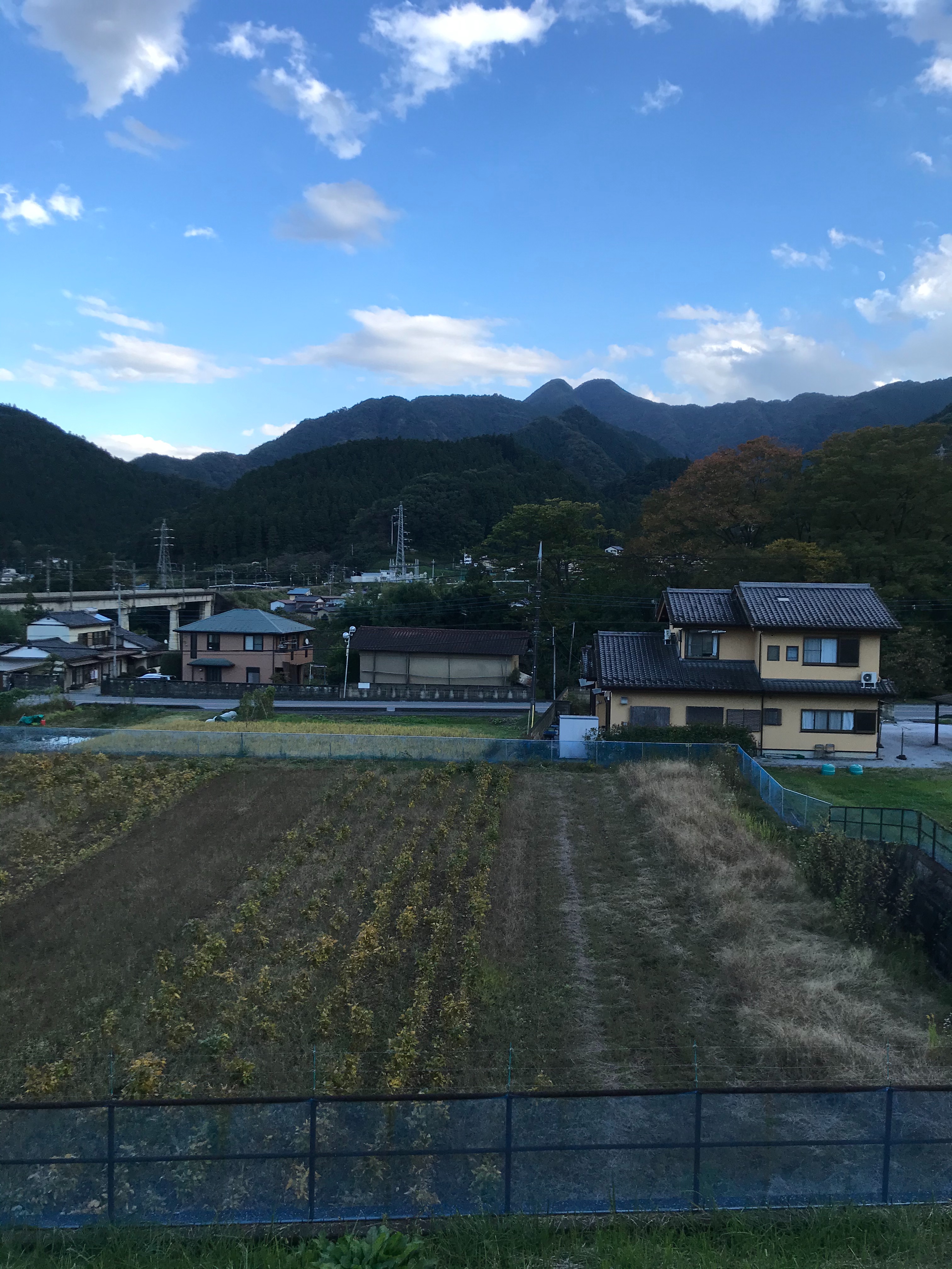 f:id:hatakofuru:20201028074742j:plain f:id:hatakofuru:20201028074742j:plain