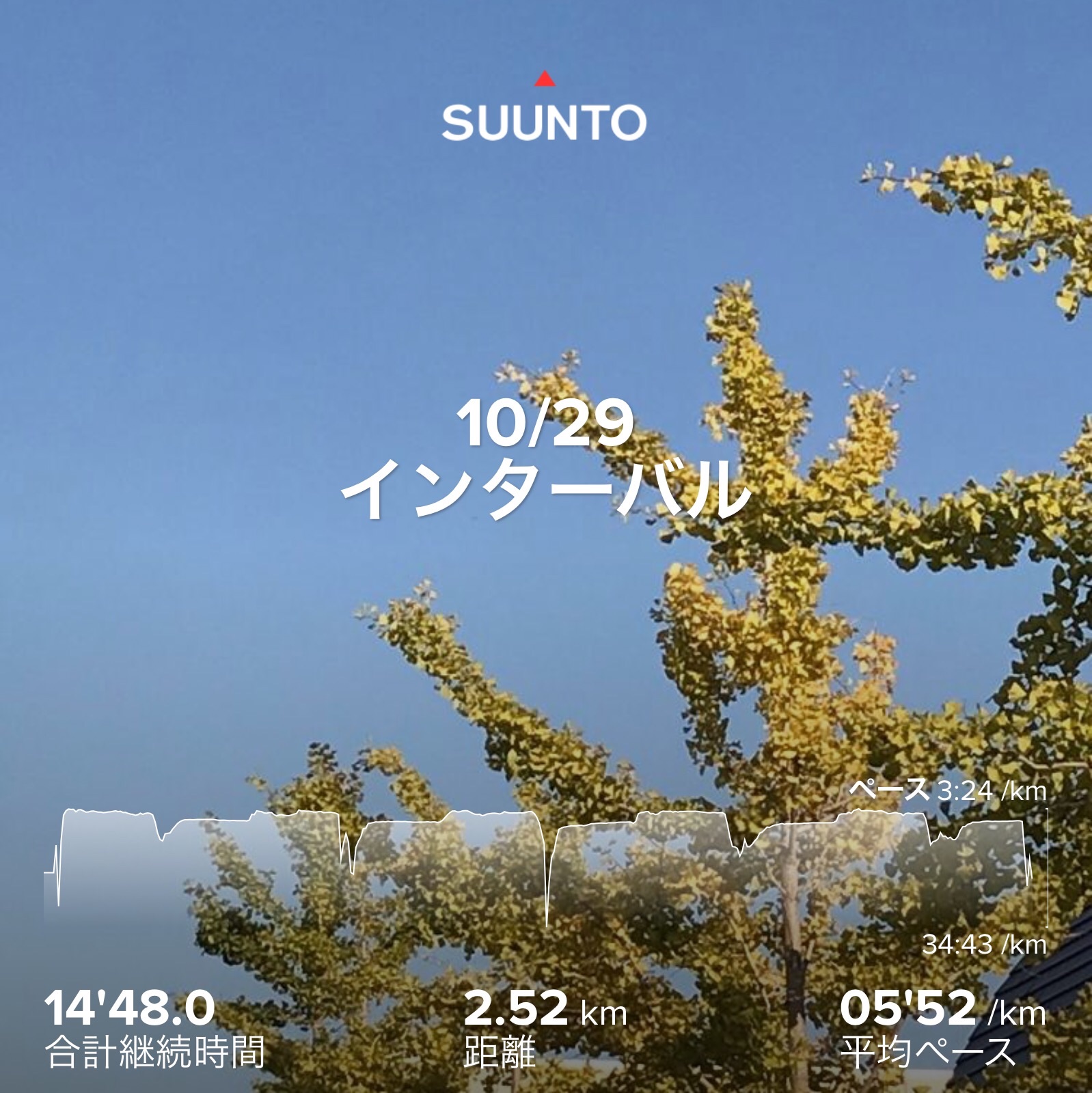 f:id:hatakofuru:20201102072839j:plain