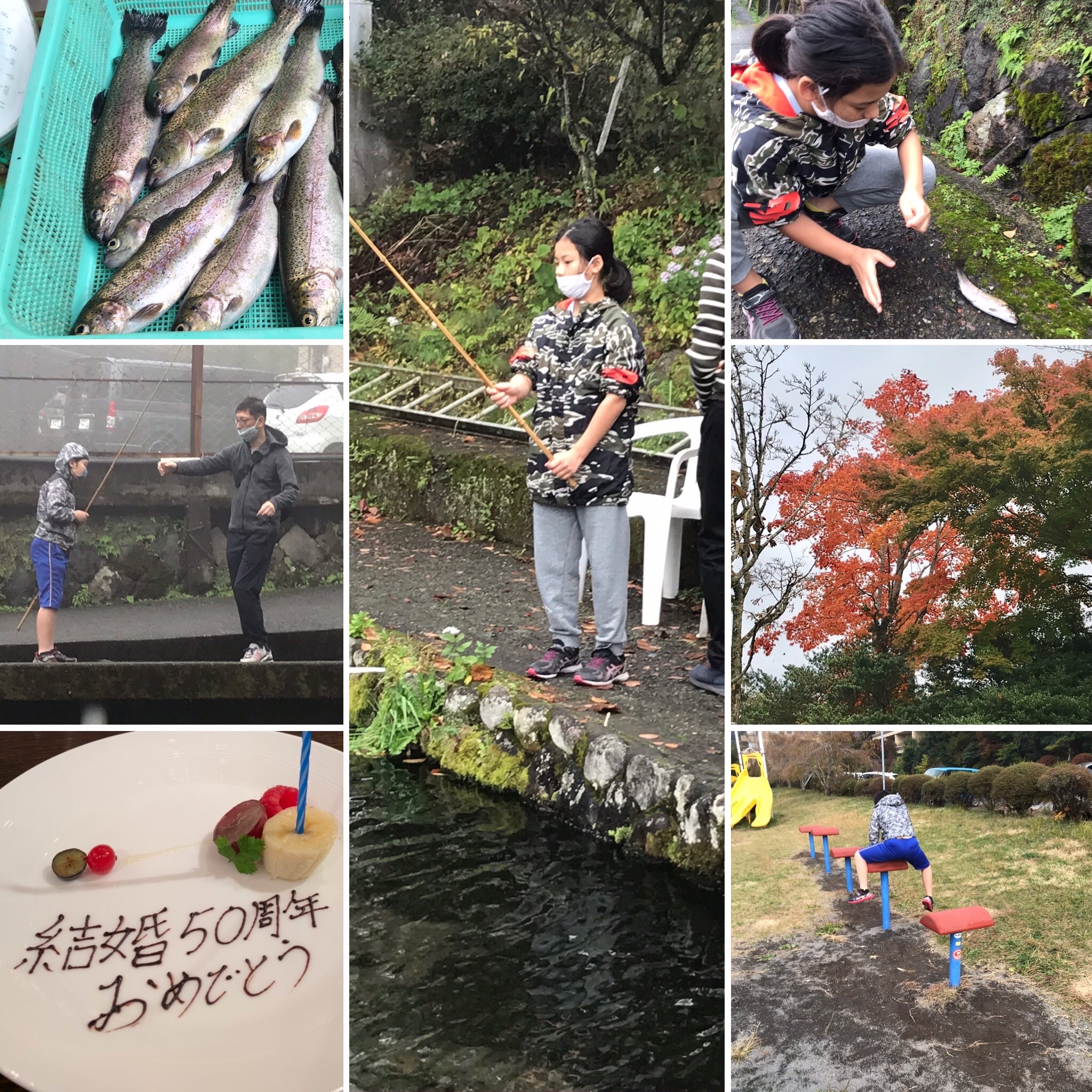 f:id:hatakofuru:20201111150811j:plain