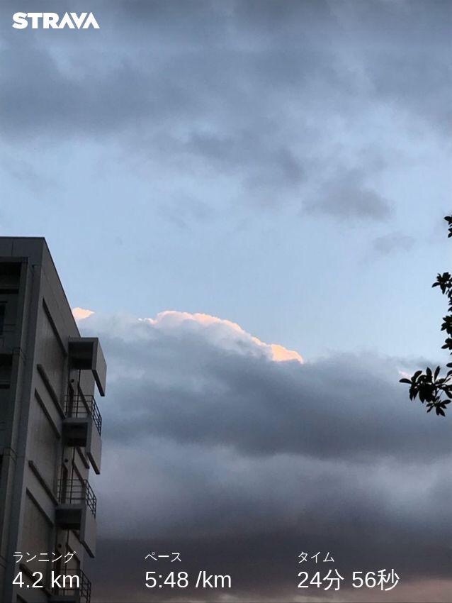 f:id:hatakofuru:20201112140829j:plain