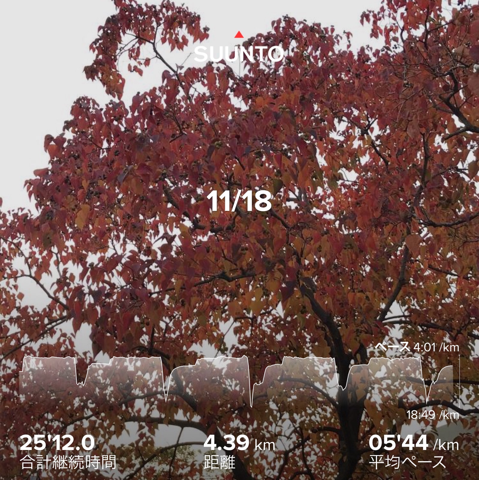 f:id:hatakofuru:20201119211845j:plain