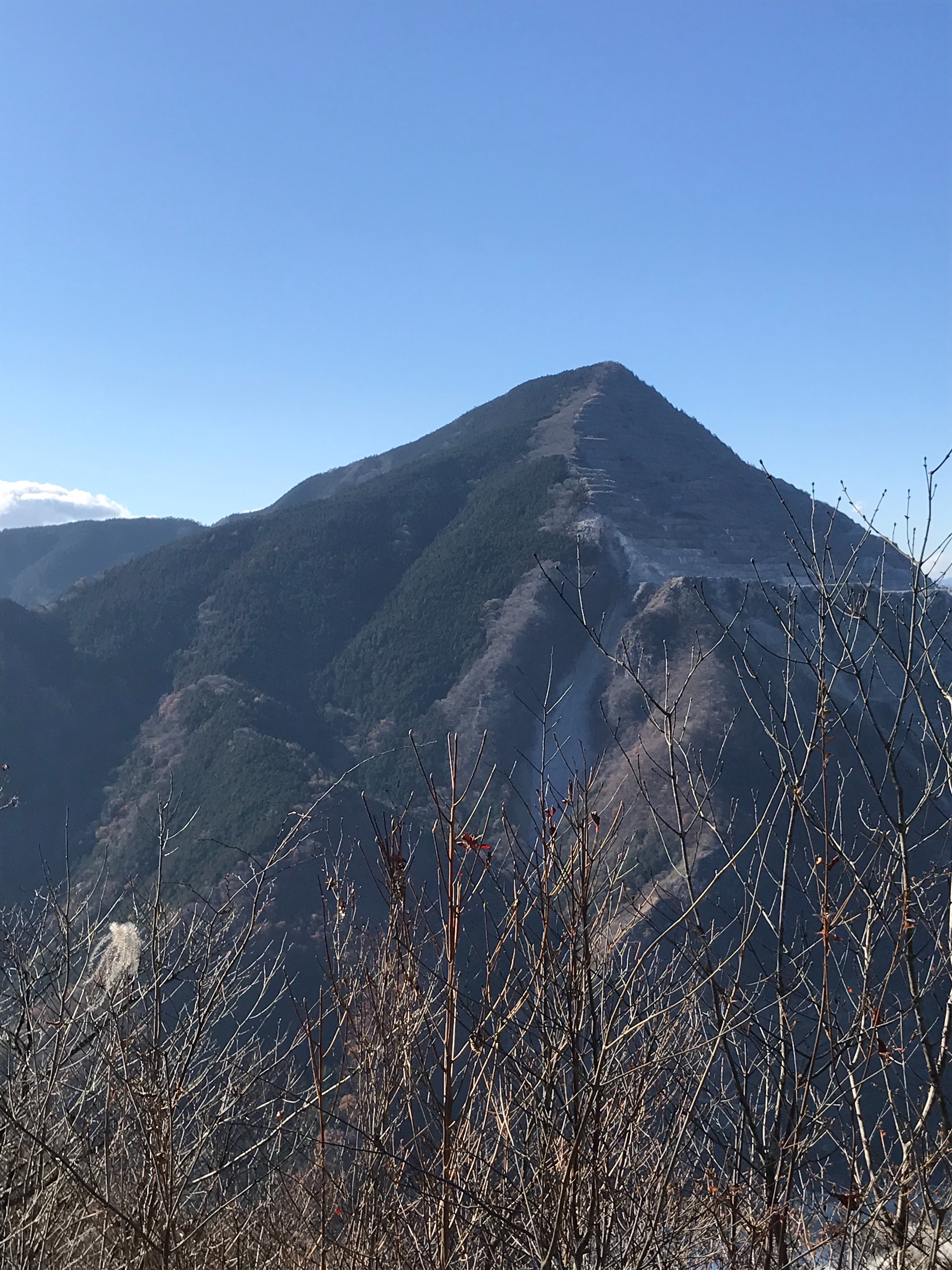 f:id:hatakofuru:20201122174856j:plain