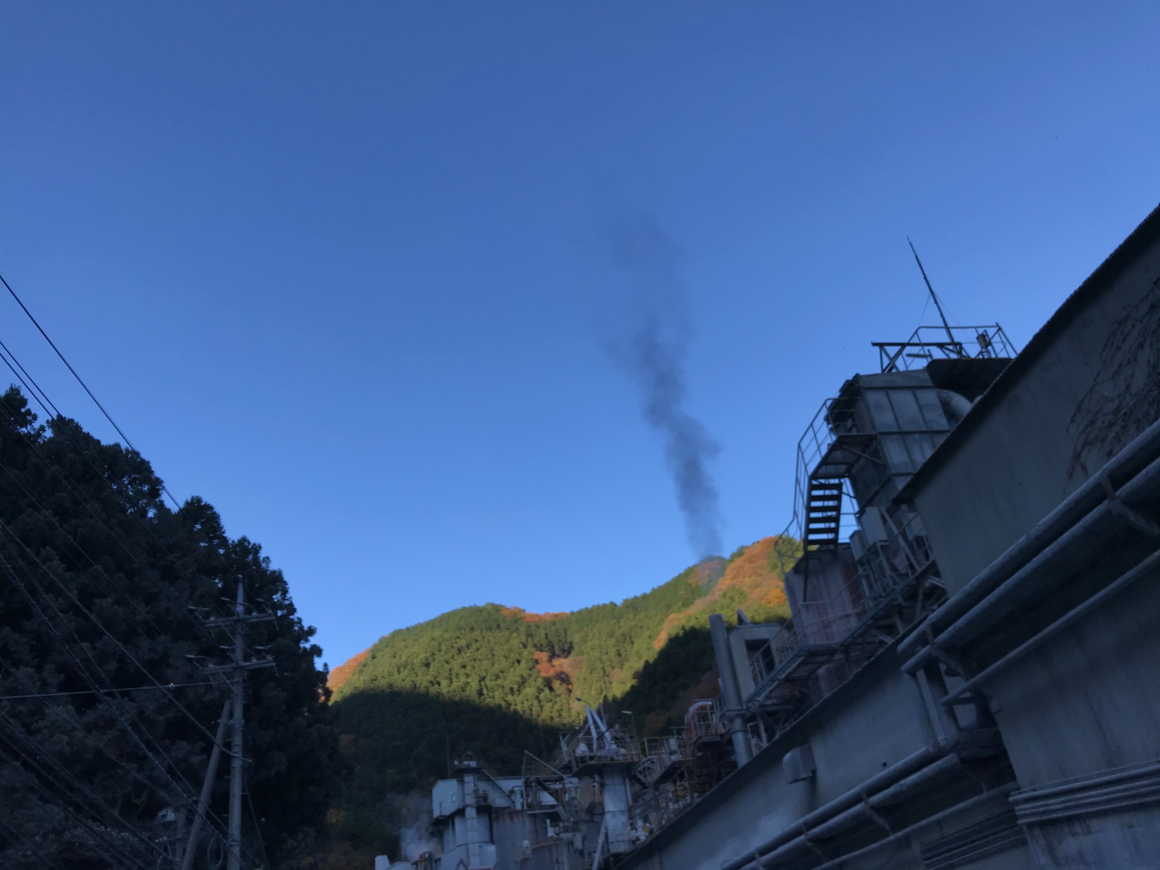 f:id:hatakofuru:20201126162522j:plain