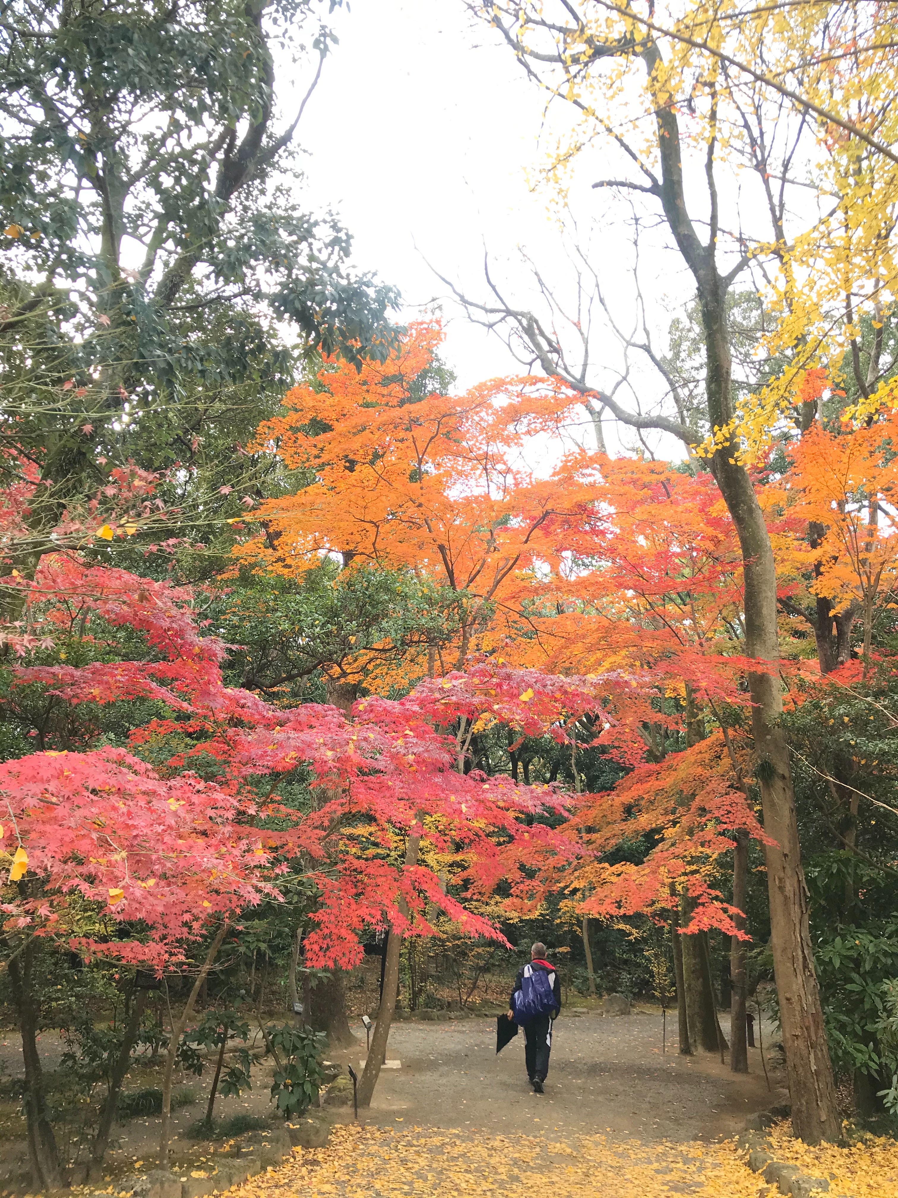 f:id:hatakofuru:20201214125108j:plain