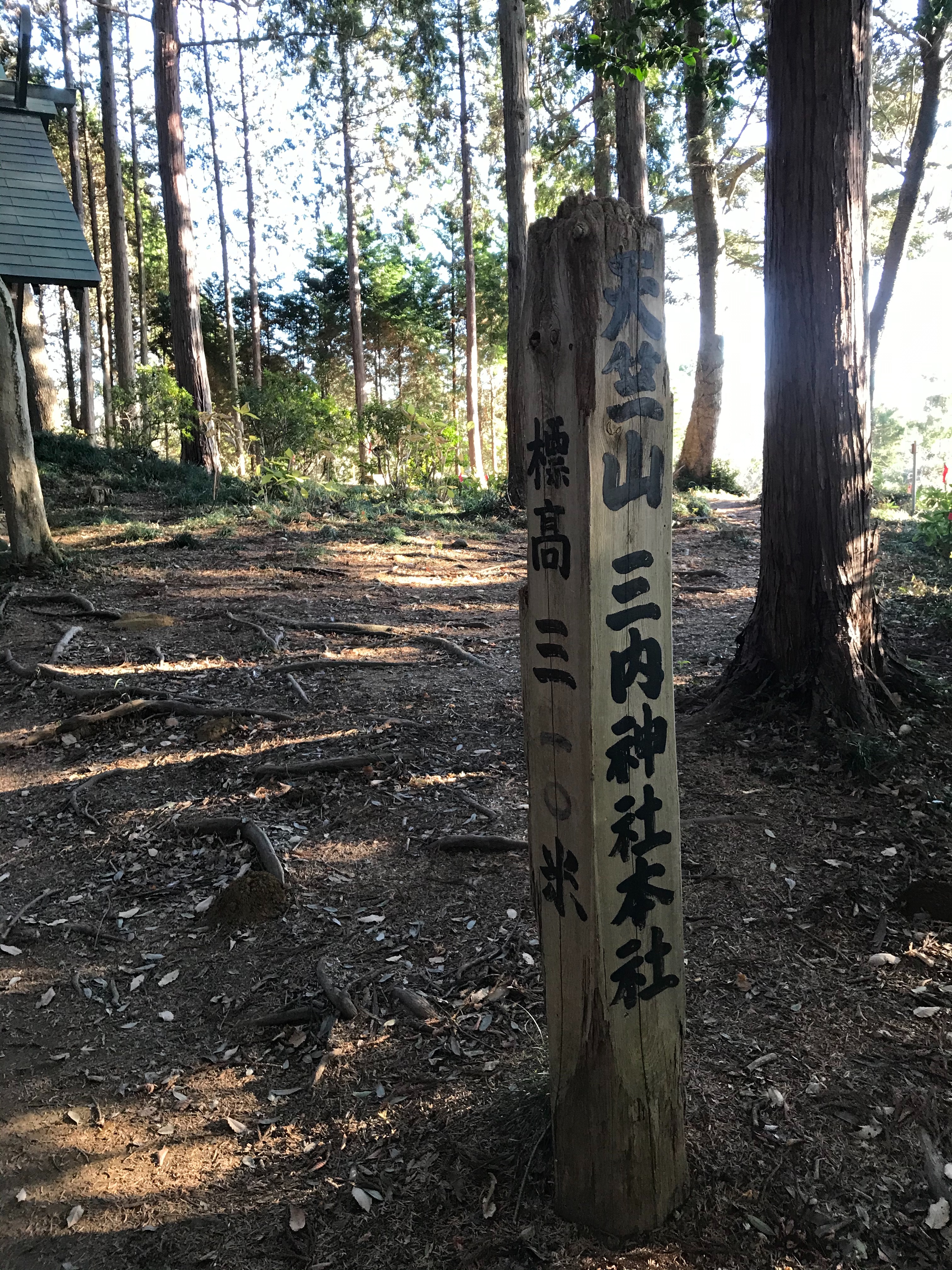 f:id:hatakofuru:20201228234044j:plain