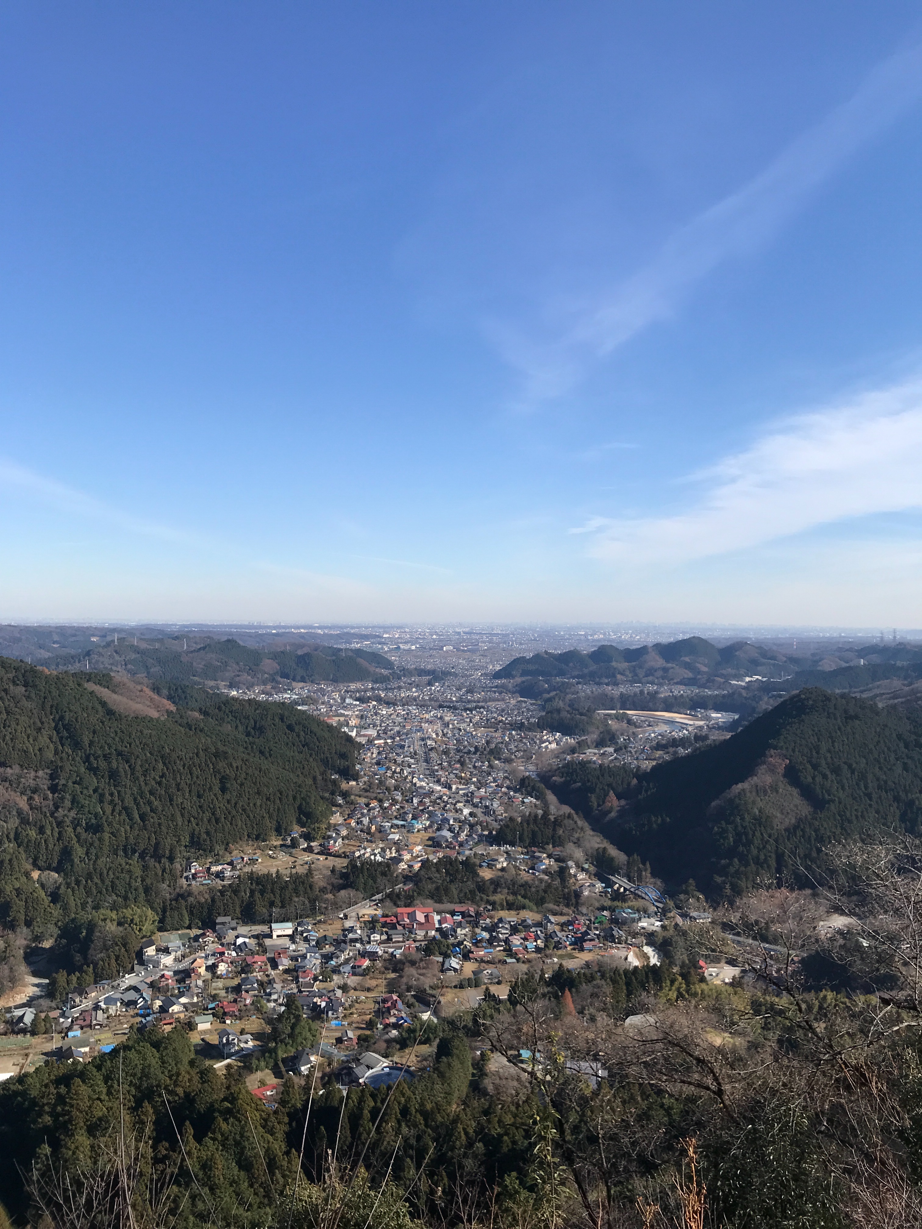 f:id:hatakofuru:20201228234839j:plain