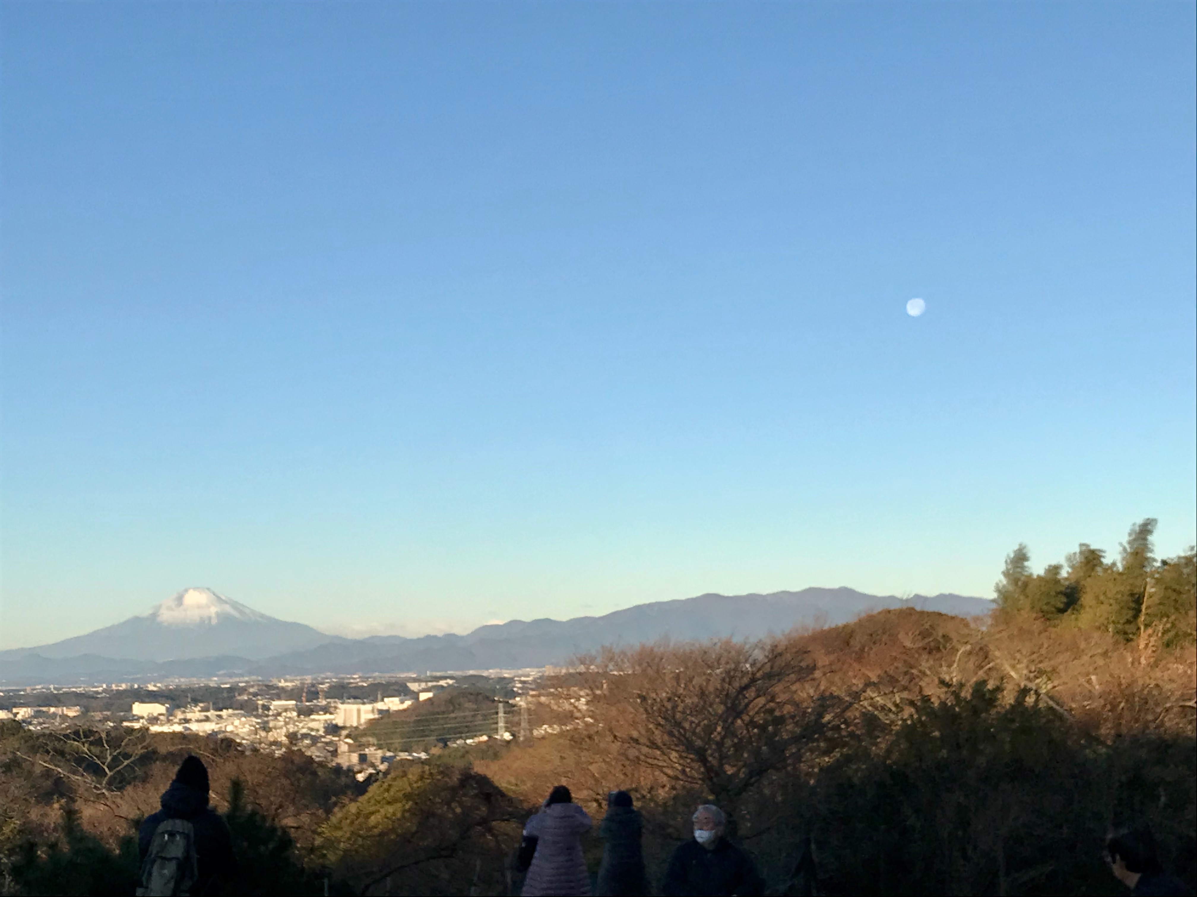 f:id:hatakofuru:20210102203659j:plain