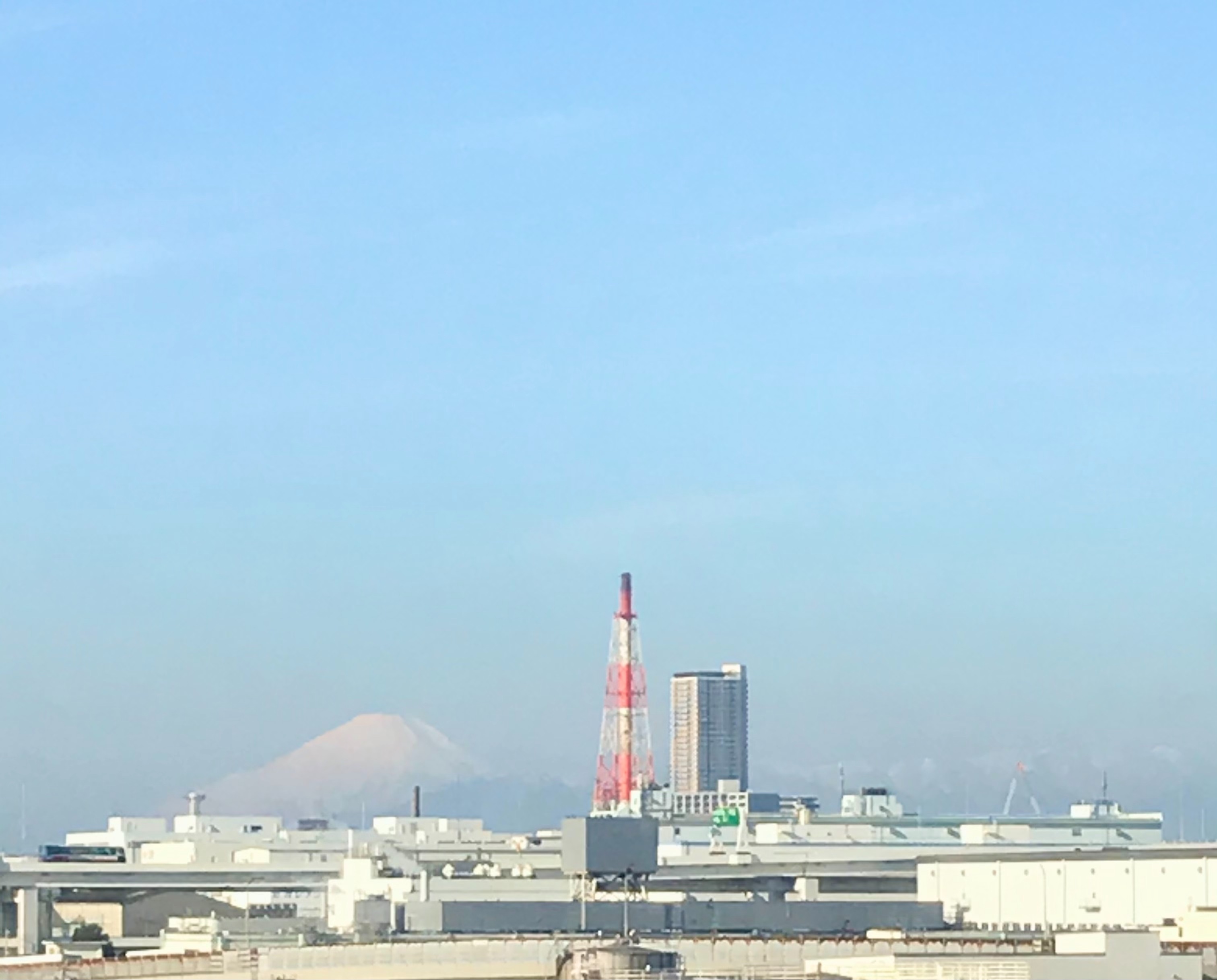 f:id:hatakofuru:20210126073503j:plain